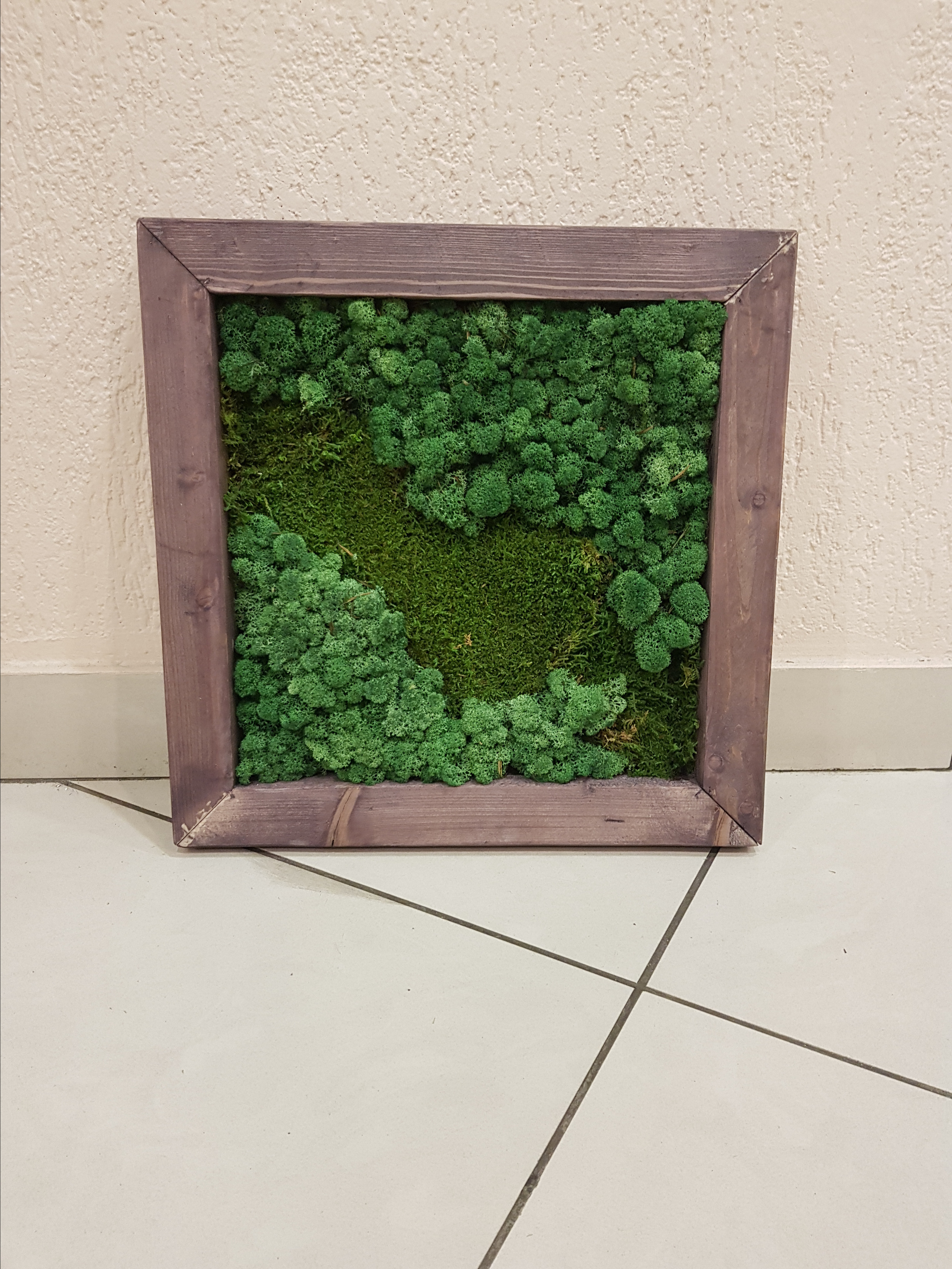 Мастер-класс по озеленение (фитокартины). Кризисный и телесно-ориентированный психолог в Москве Печора Катерина✨