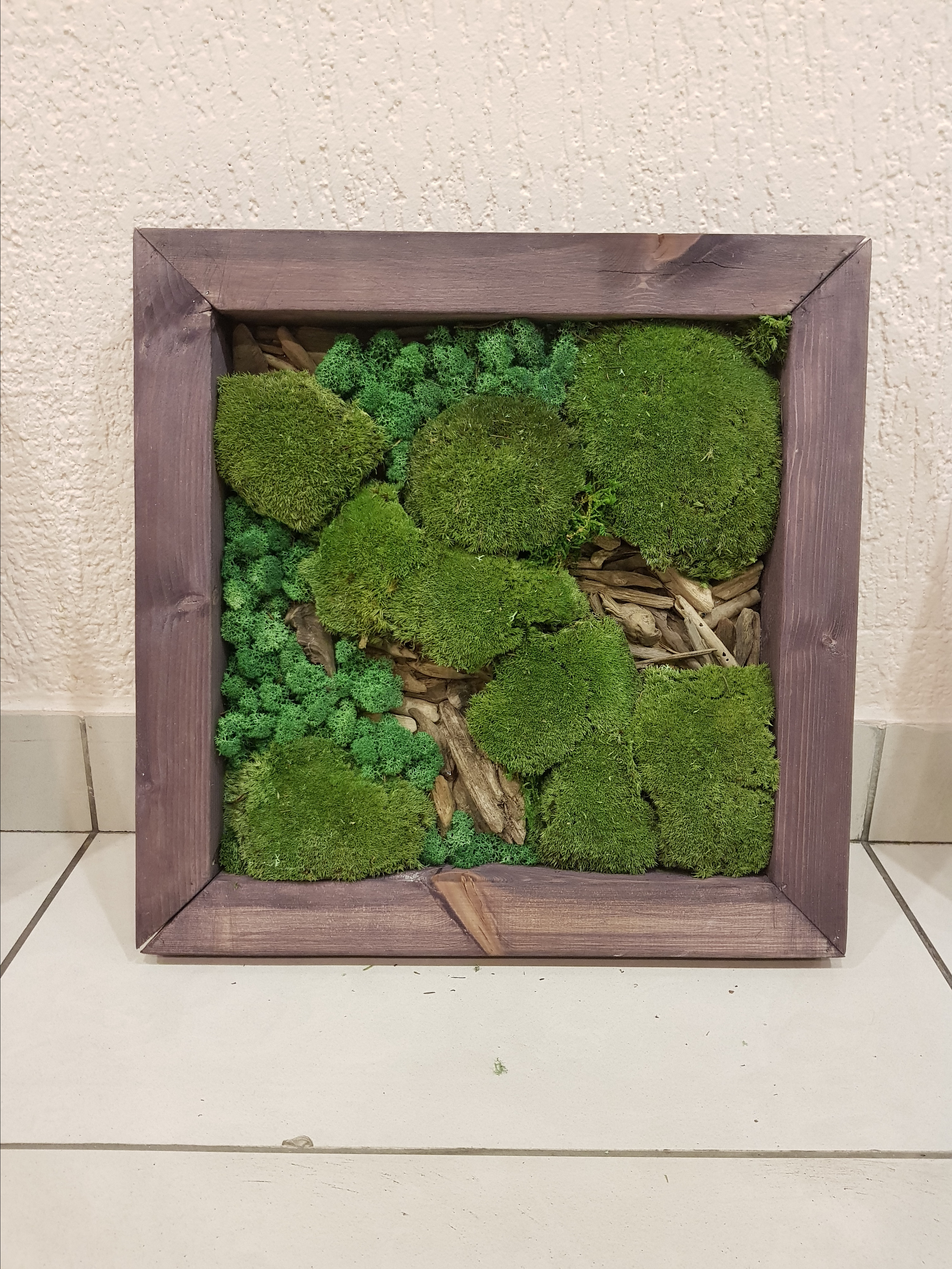 Мастер-класс по озеленение (фитокартины). Кризисный и телесно-ориентированный психолог в Москве Печора Катерина✨