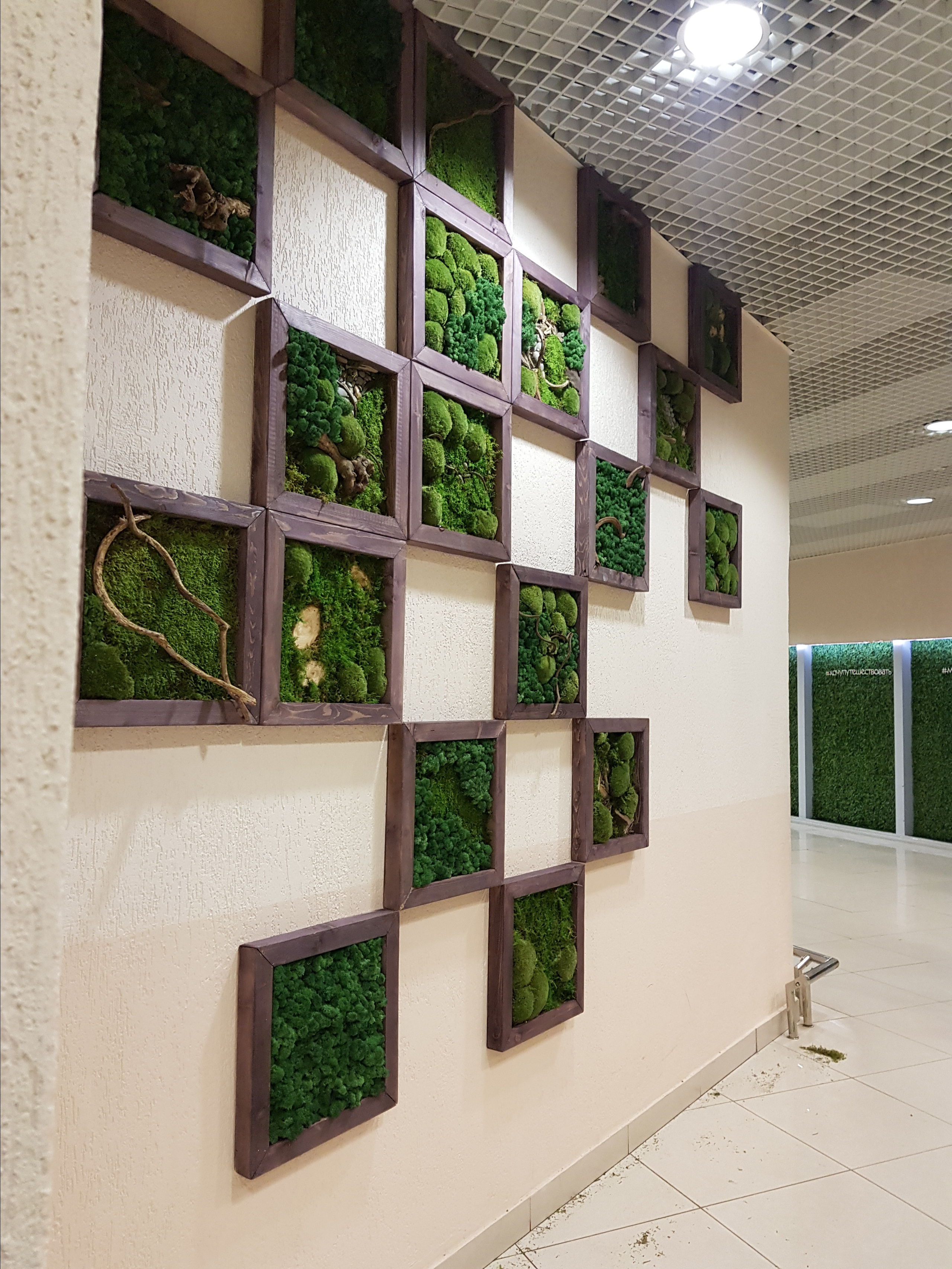 Мастер-класс по озеленение (фитокартины). Кризисный и телесно-ориентированный психолог в Москве Печора Катерина✨