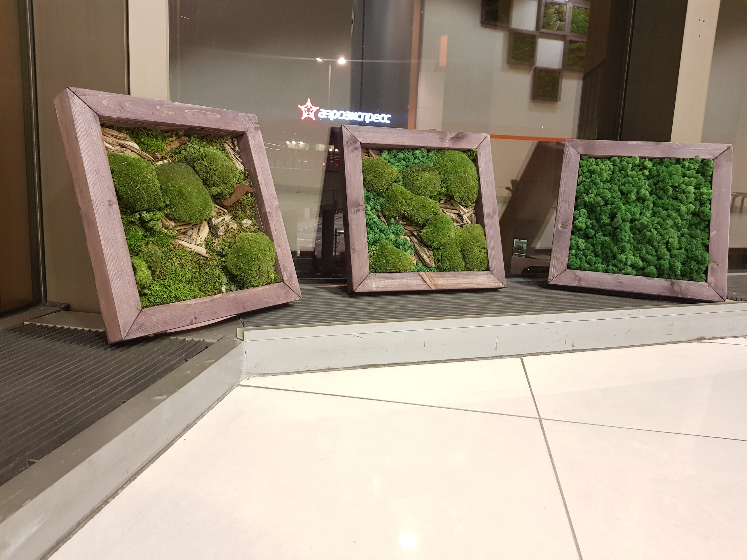 Мастер-класс по озеленение (фитокартины). Кризисный и телесно-ориентированный психолог в Москве Печора Катерина✨