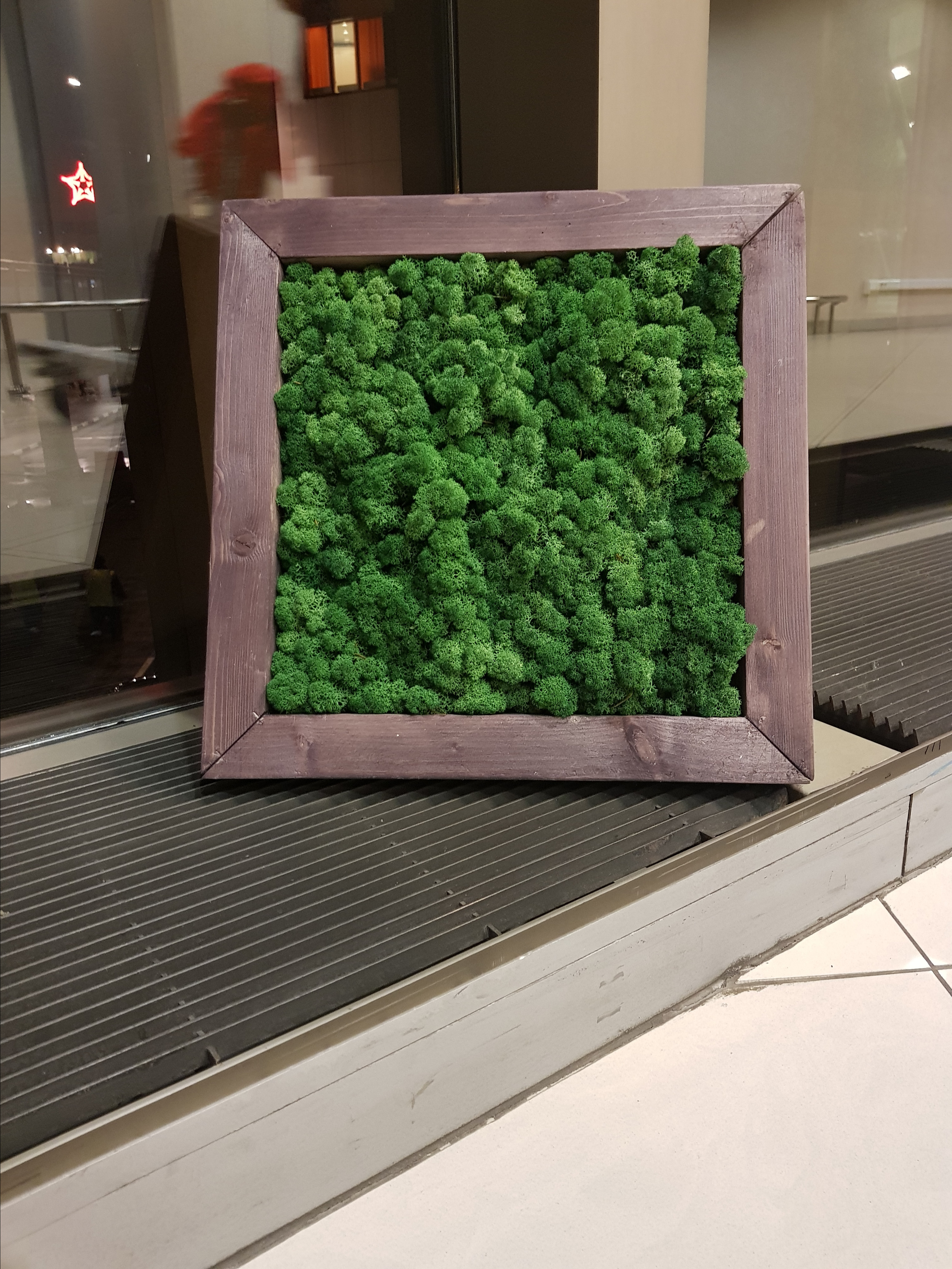 Мастер-класс по озеленение (фитокартины). Кризисный и телесно-ориентированный психолог в Москве Печора Катерина✨