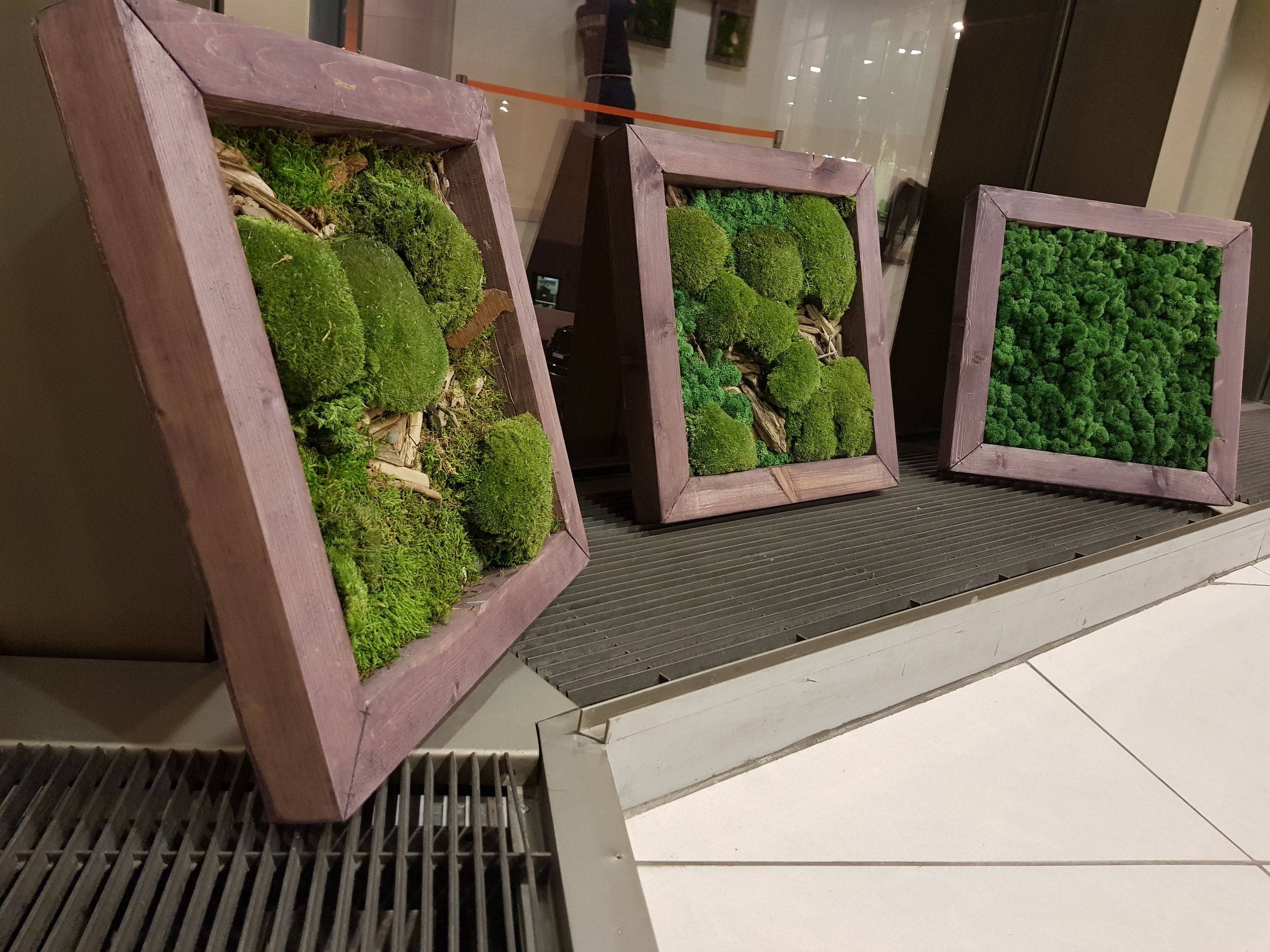 Мастер-класс по озеленение (фитокартины). Кризисный и телесно-ориентированный психолог в Москве Печора Катерина✨