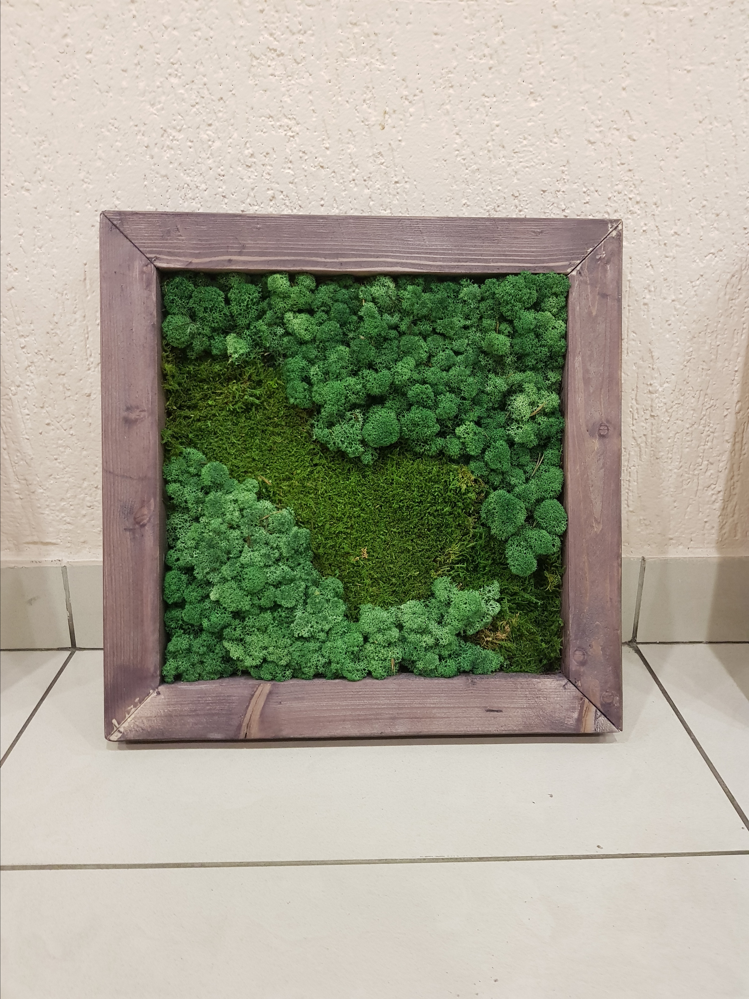 Мастер-класс по озеленение (фитокартины). Кризисный и телесно-ориентированный психолог в Москве Печора Катерина✨