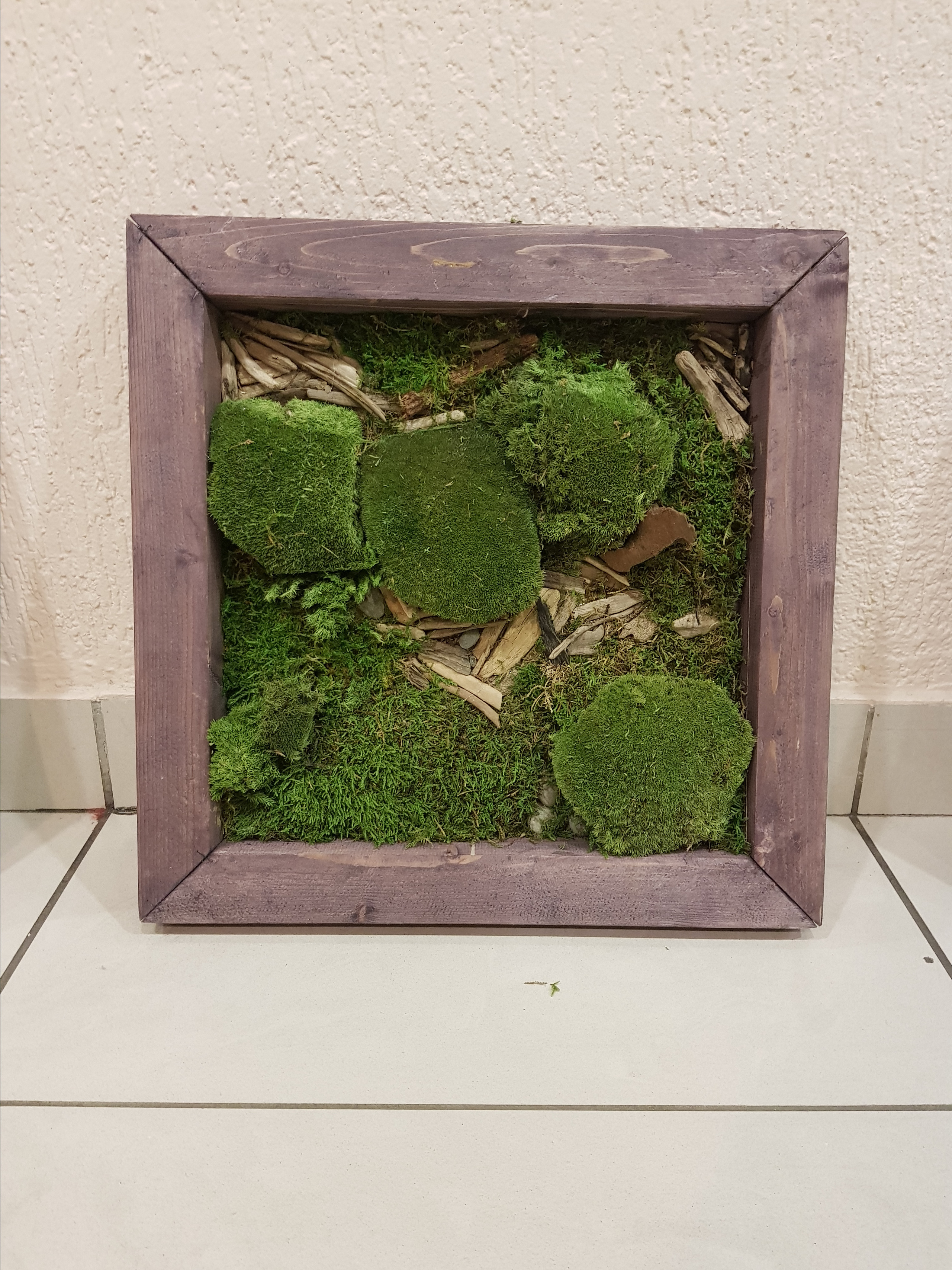 Мастер-класс по озеленение (фитокартины). Кризисный и телесно-ориентированный психолог в Москве Печора Катерина✨