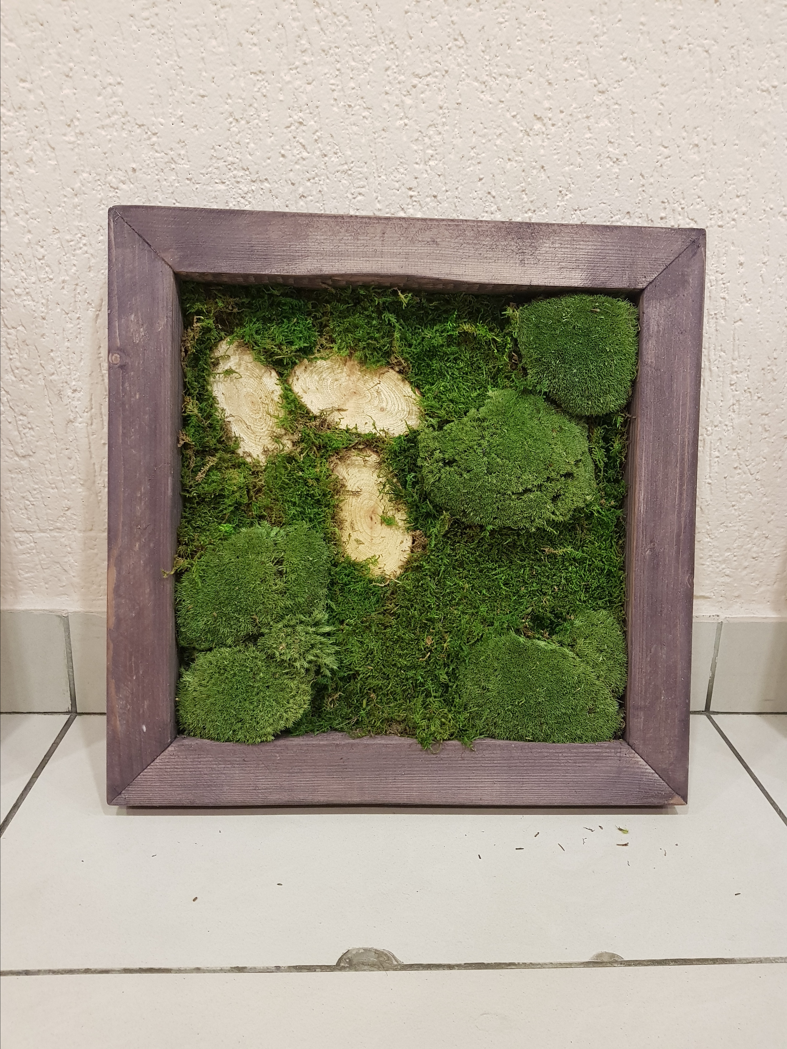 Мастер-класс по озеленение (фитокартины). Кризисный и телесно-ориентированный психолог в Москве Печора Катерина✨