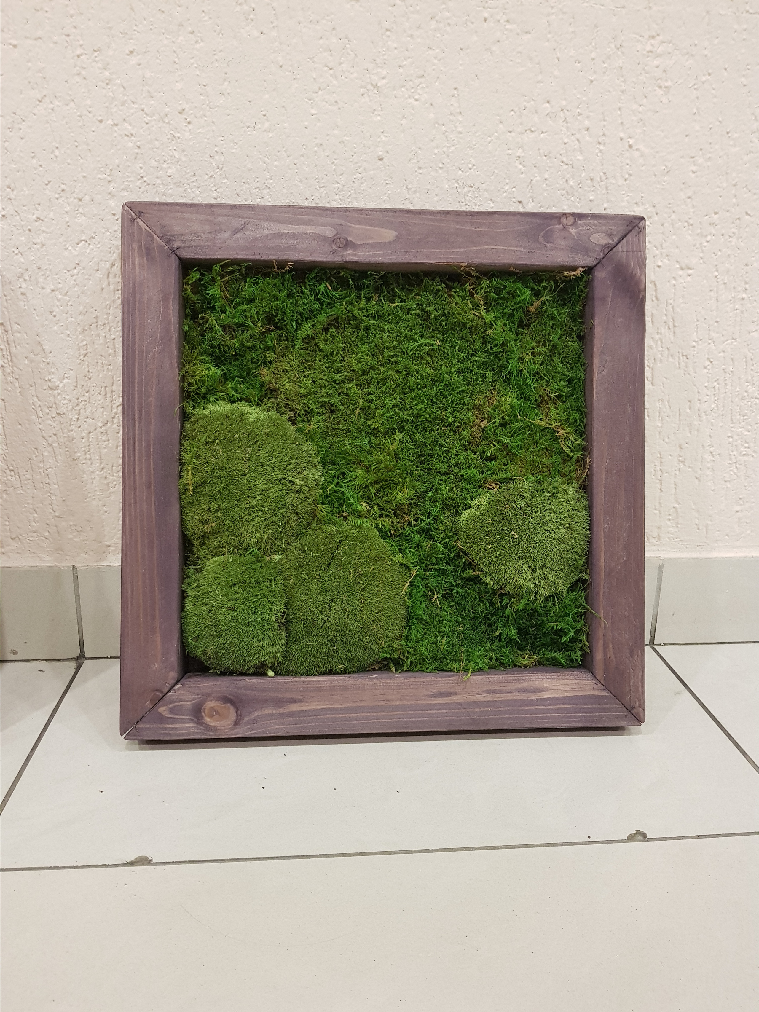 Мастер-класс по озеленение (фитокартины). Кризисный и телесно-ориентированный психолог в Москве Печора Катерина✨