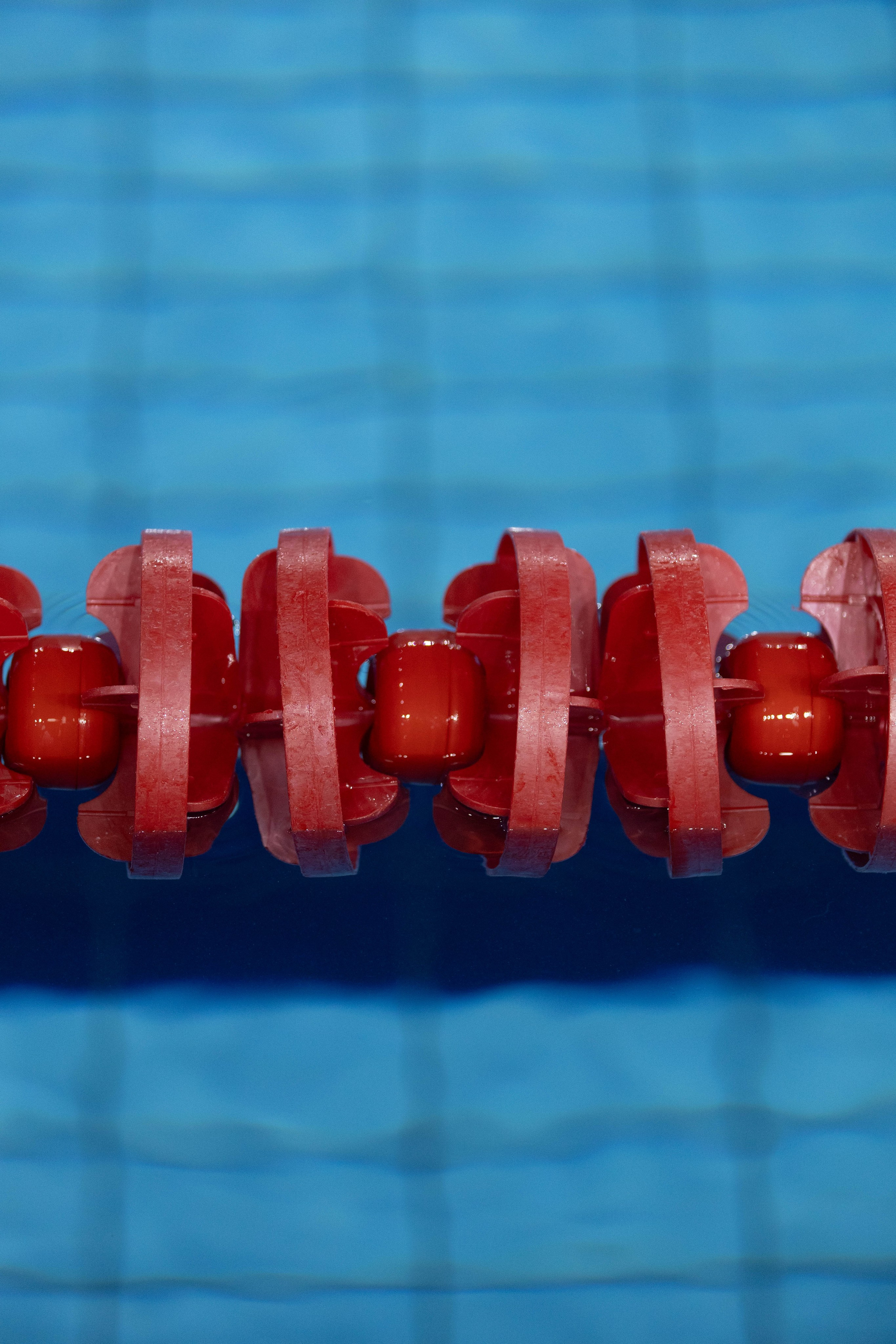 Гонка ракет. Александра Мельниченко/ Бегающий фотограф