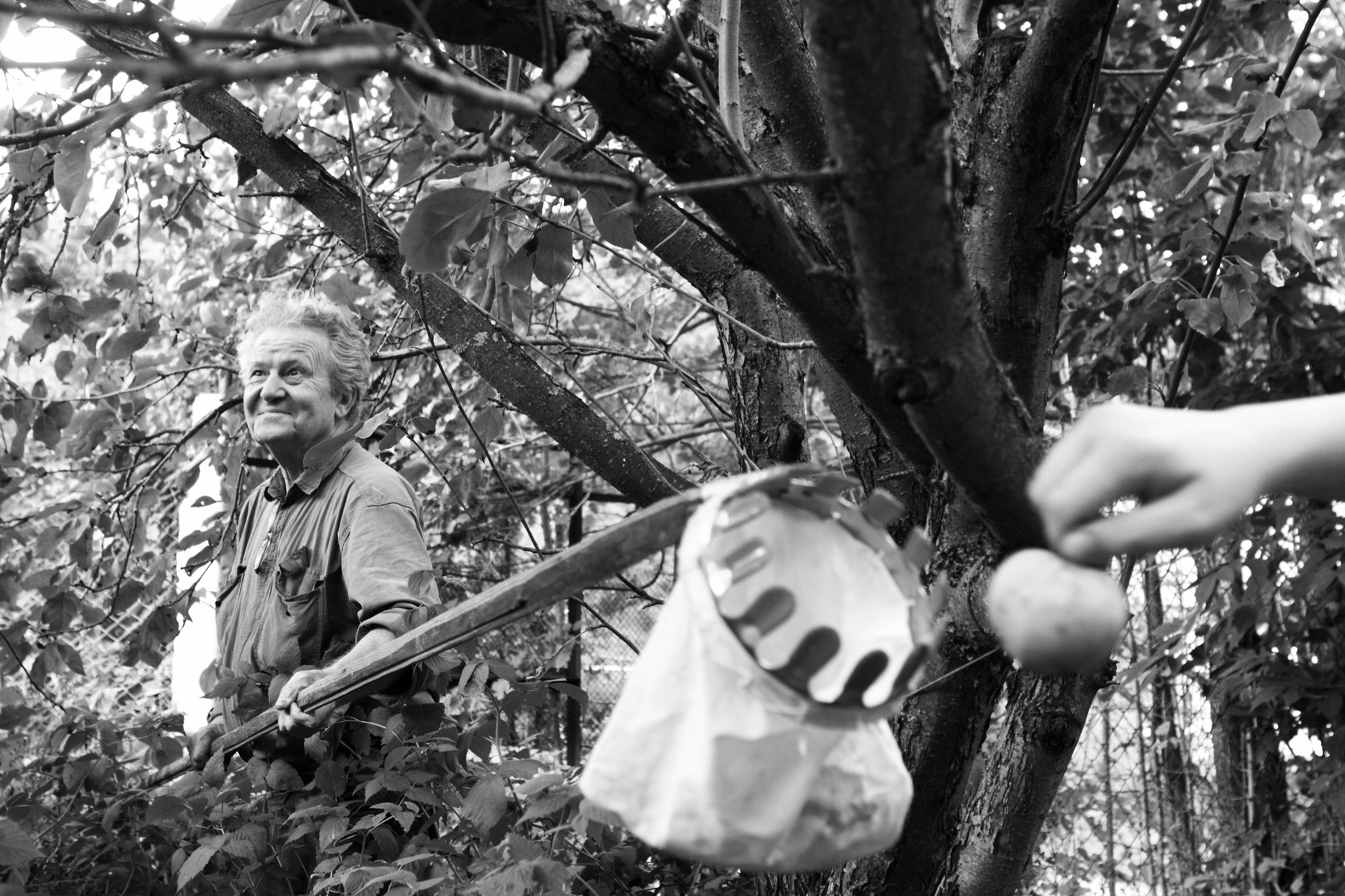 Жанр. Фотограф Лагутин Анатолий