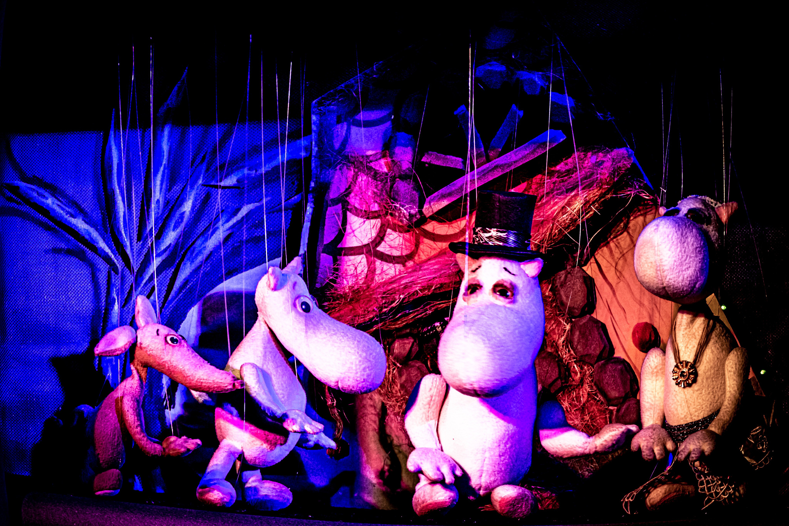 «Муми тролли и большое наводнение». Фотограф в Сочи Юрий Шептаев