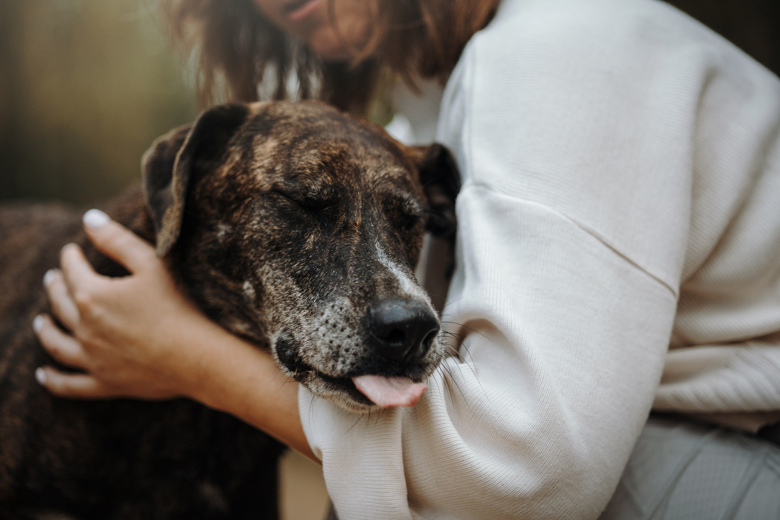 Любовь и ее хвостики. Фотограф — Анималист | Санкт-Петербург