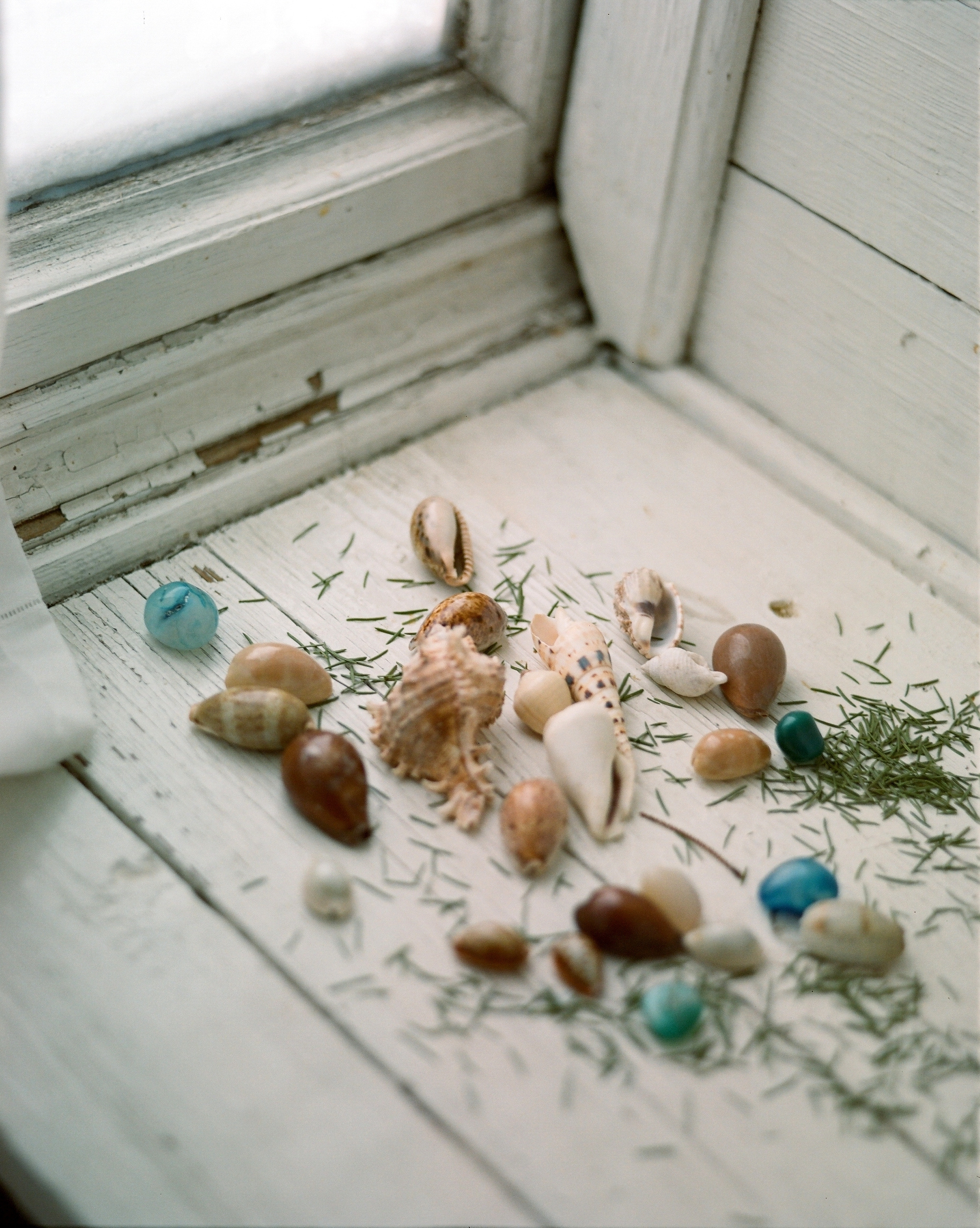 Дневник каньона. Екатерина Васильева художник, куратор и преподаватель