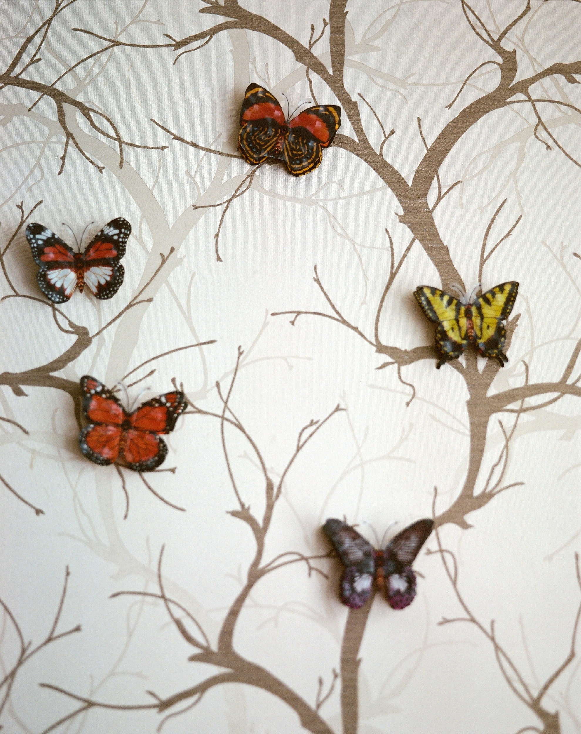 Дневник каньона. Екатерина Васильева художник, куратор и преподаватель