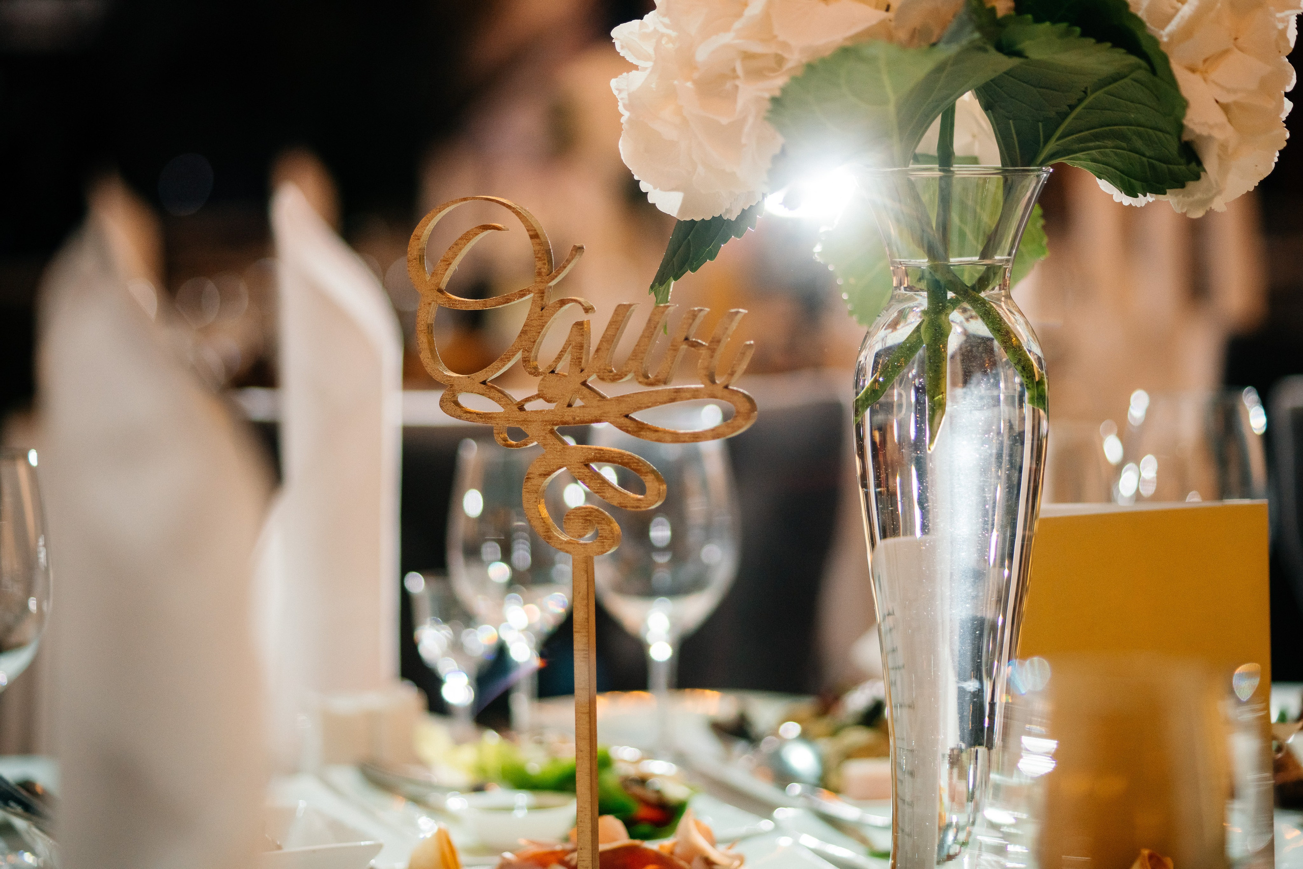 Сергей и Анна