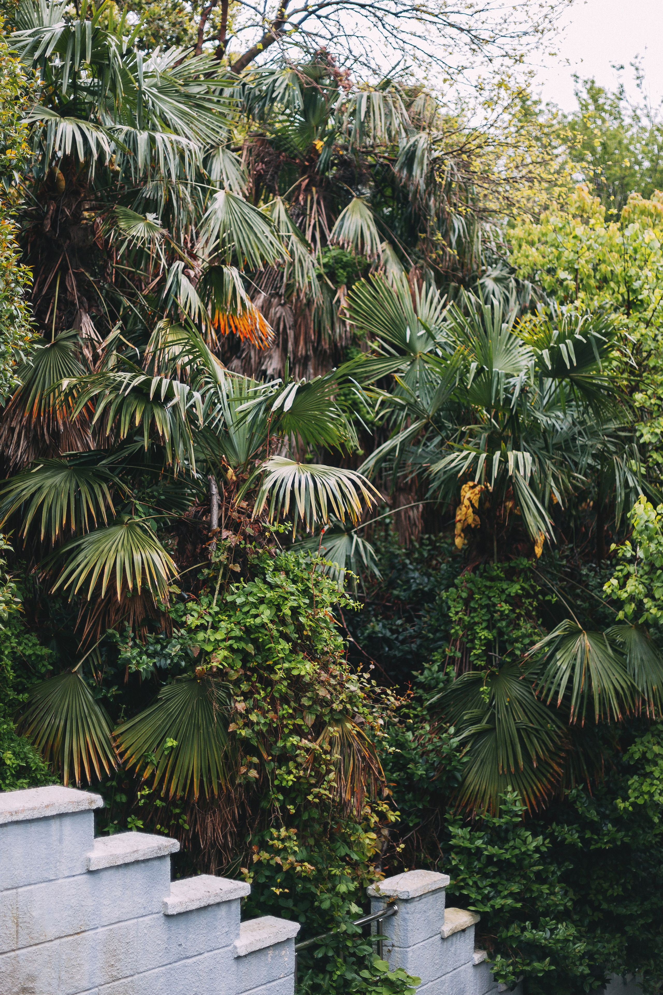 Сочи. Аня Степанова