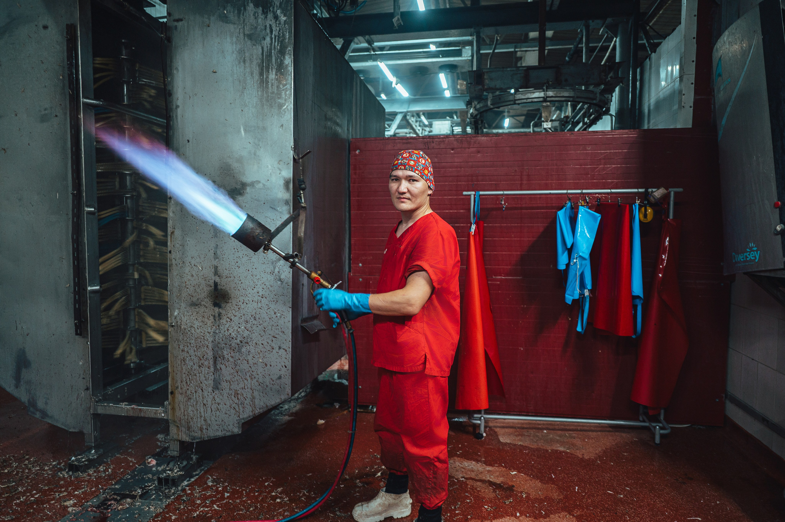 Свинокомплекс «СИБАГРО». Свадебная и концептуальная фотография в городе Улан-Удэ