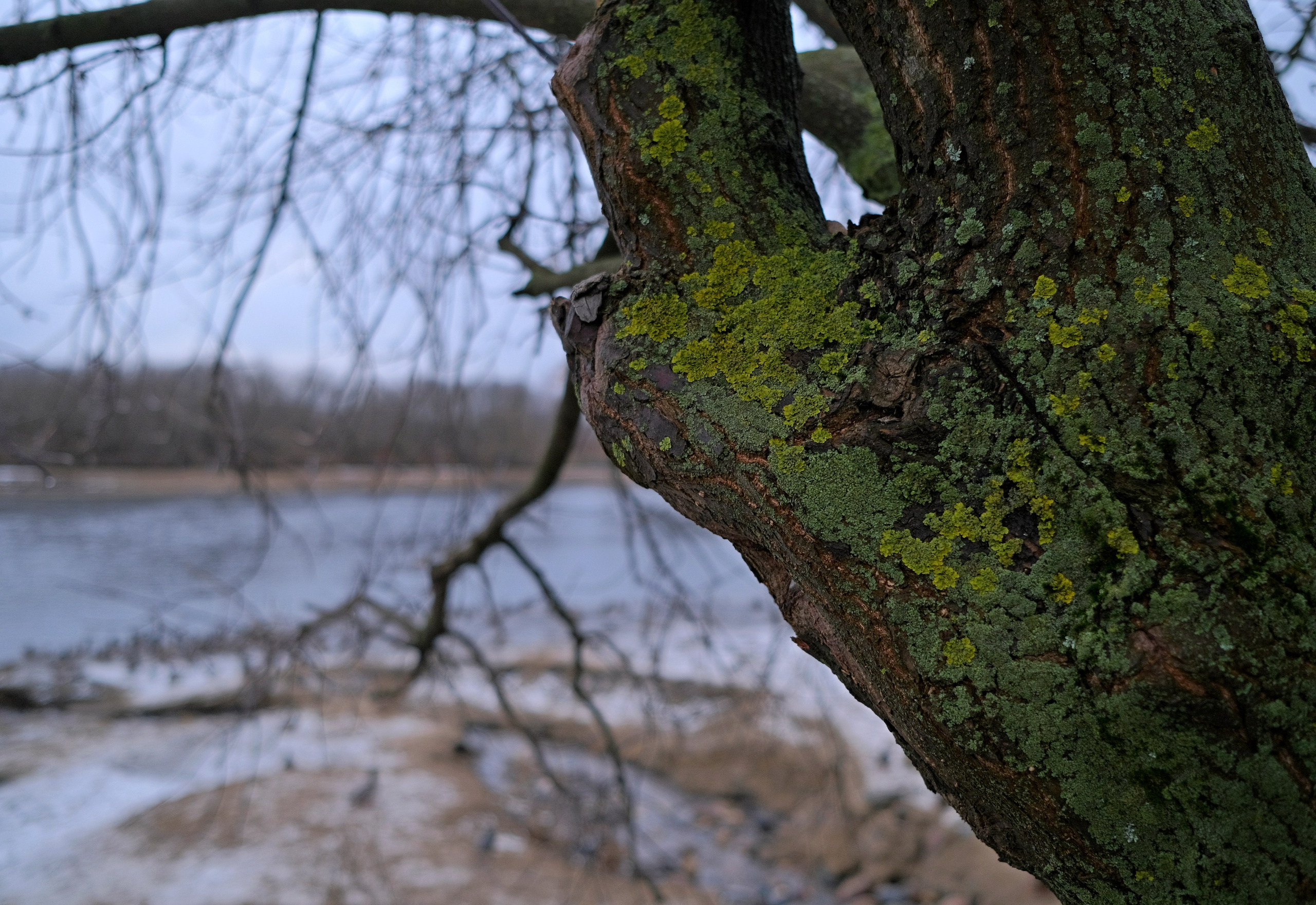 Фотоальбом с разными съёмками