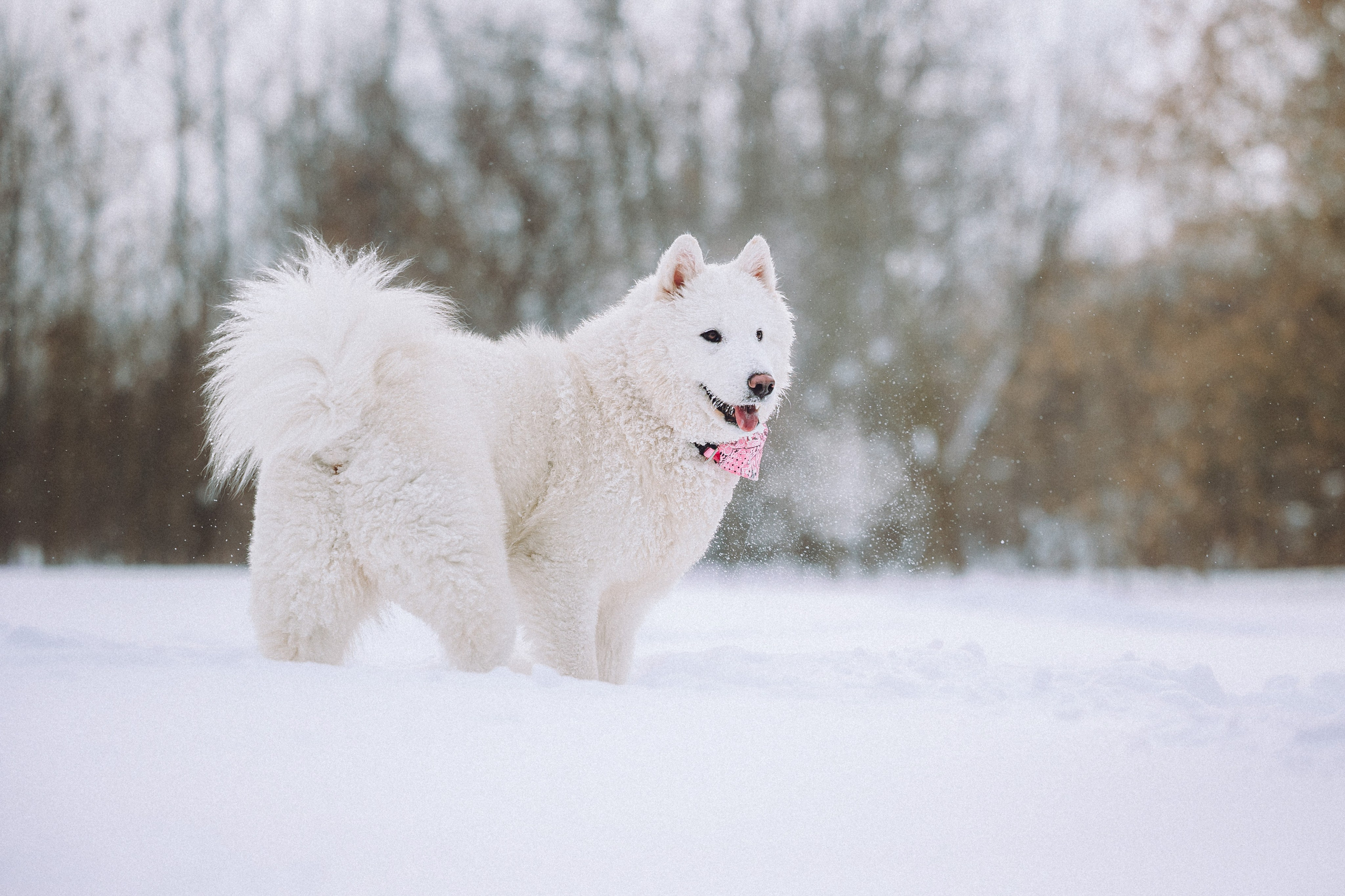 Мария и Мася