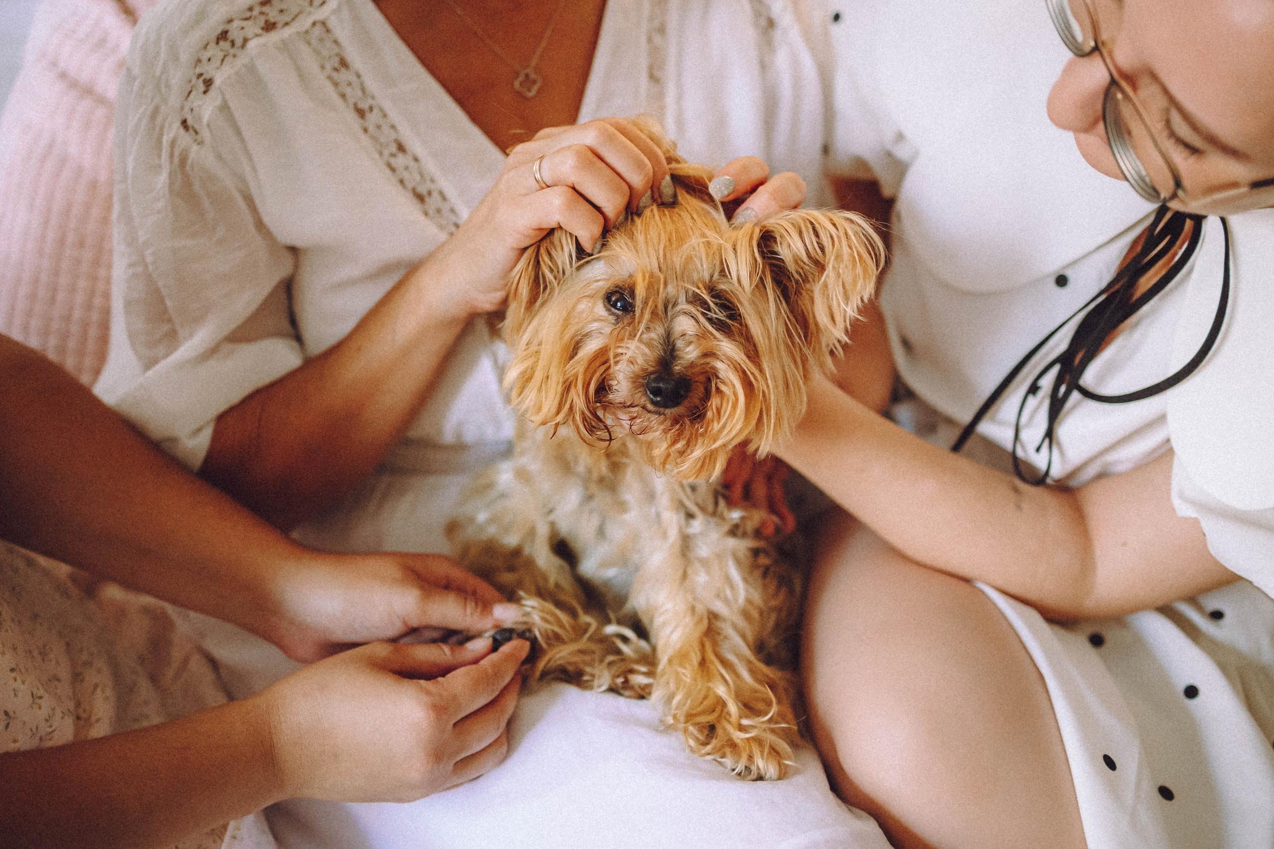 Дэзи и ее семья