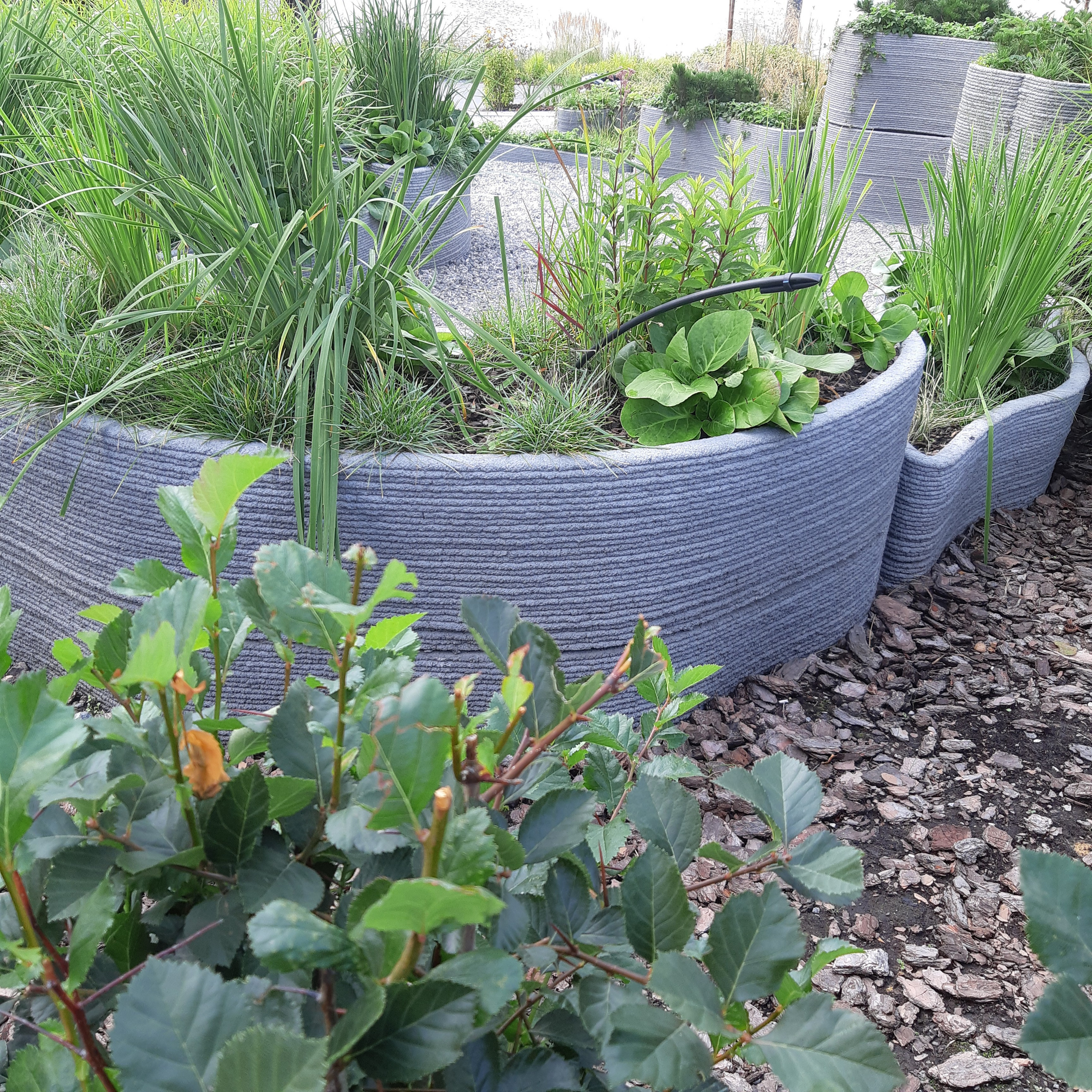 ВОЛШЕБНЫЙ АТМОФЕСТ 2025. Ландшафт Сметчик Генплан Ландшафтный дизайнер новости Екатеринбург Пермь