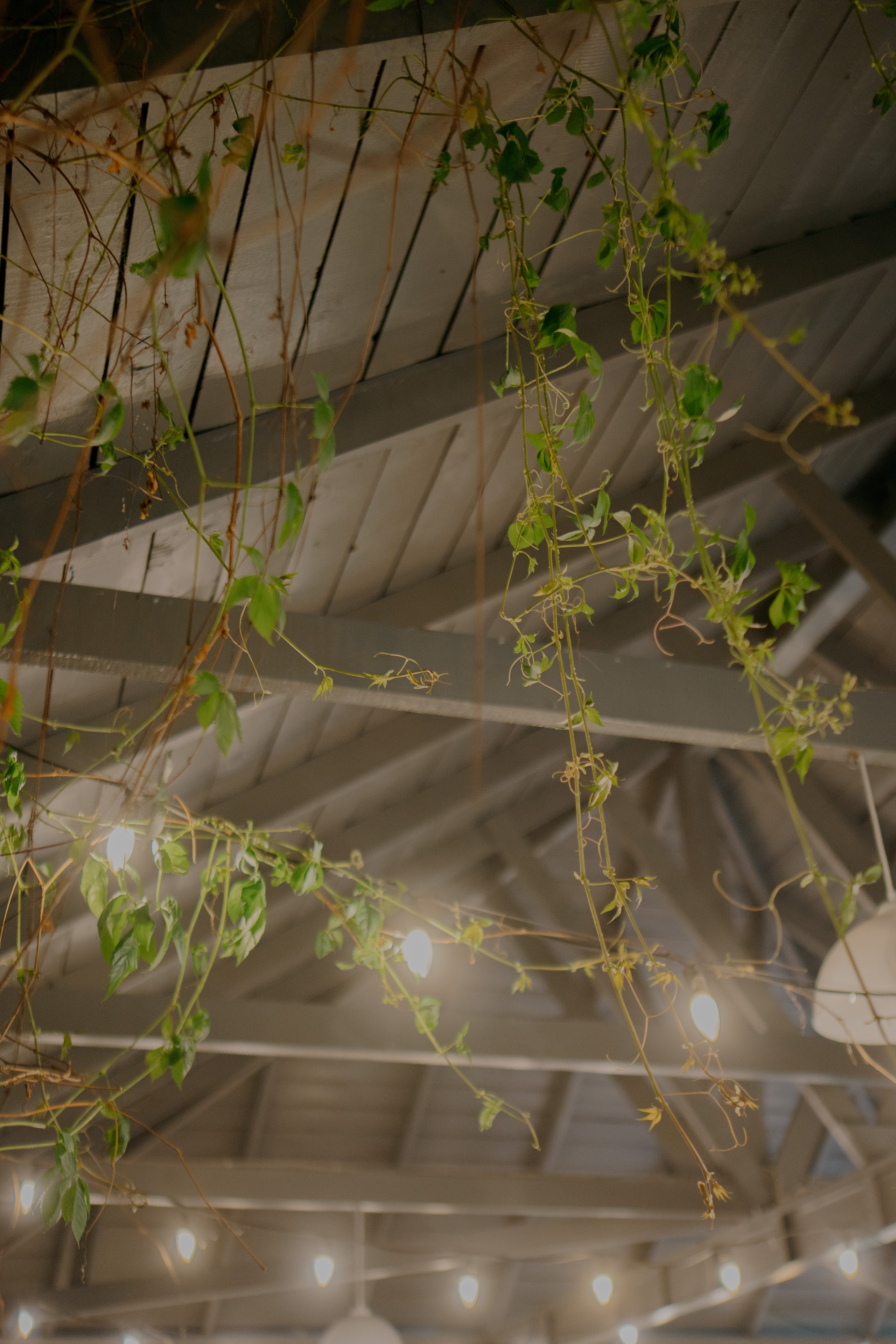 Алина Влад. Фотограф Томск Новосибирск Елизавета Вахтеева