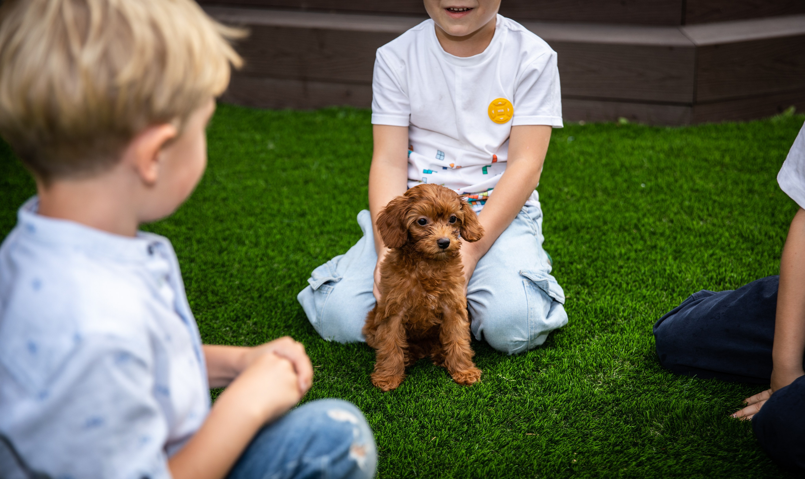 День Рождения Егорки -2025. VoronEvent. Репортажный и свадебный фотограф в Челябинске Елисеев Павел