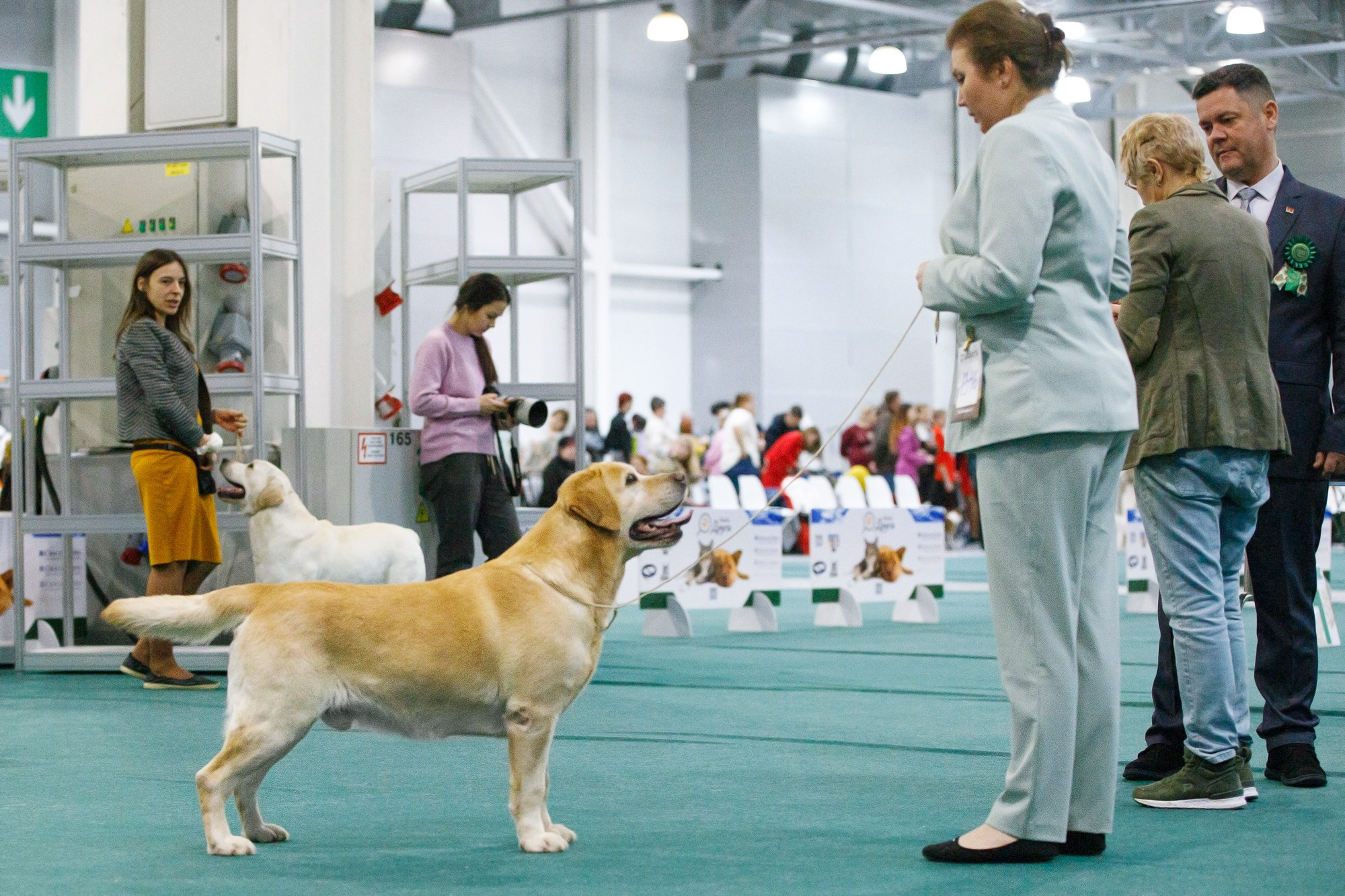 Выставки. Фотограф-анималист в Калуге Мария Шерскова