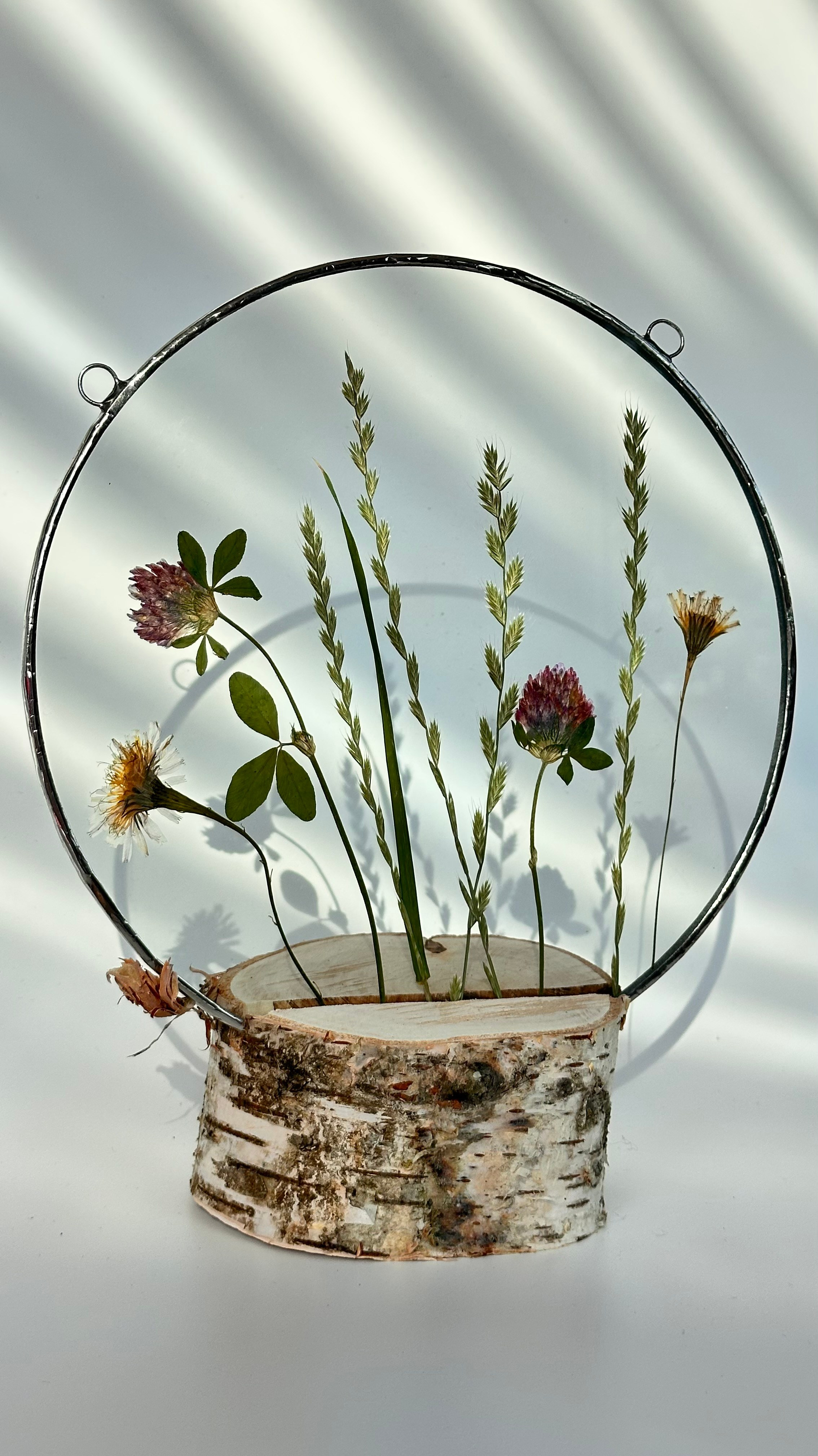 Гербарий полевые цветы витраж техника тиффани. Гербарий в стекле, интерьерные панно, витражи с сухоцветами в технике тиффани