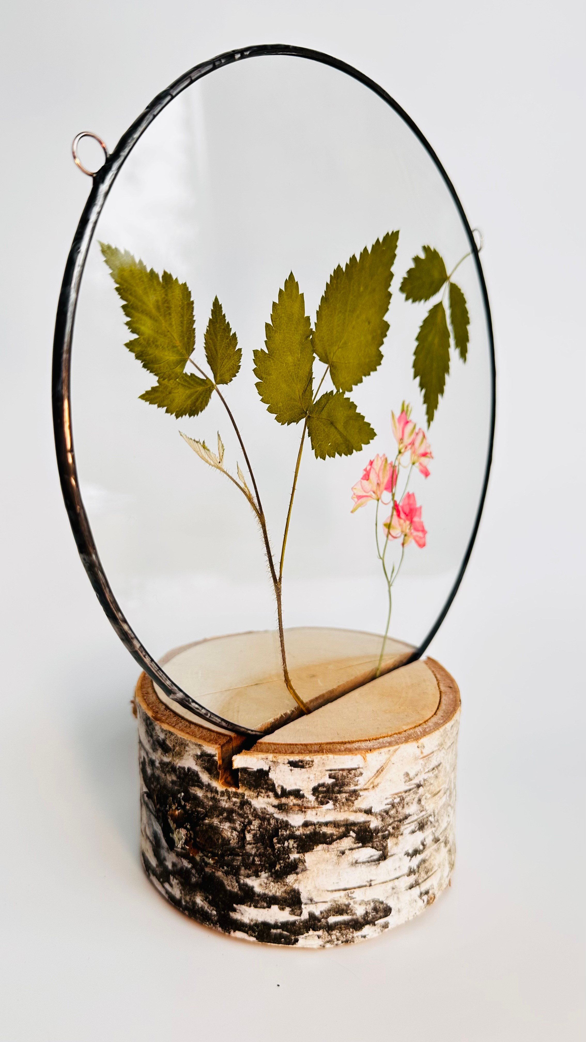 Гербарий в стекле с сухоцветами (витраж в технике тиффани). Гербарий в стекле, интерьерные панно, витражи с сухоцветами в технике тиффани