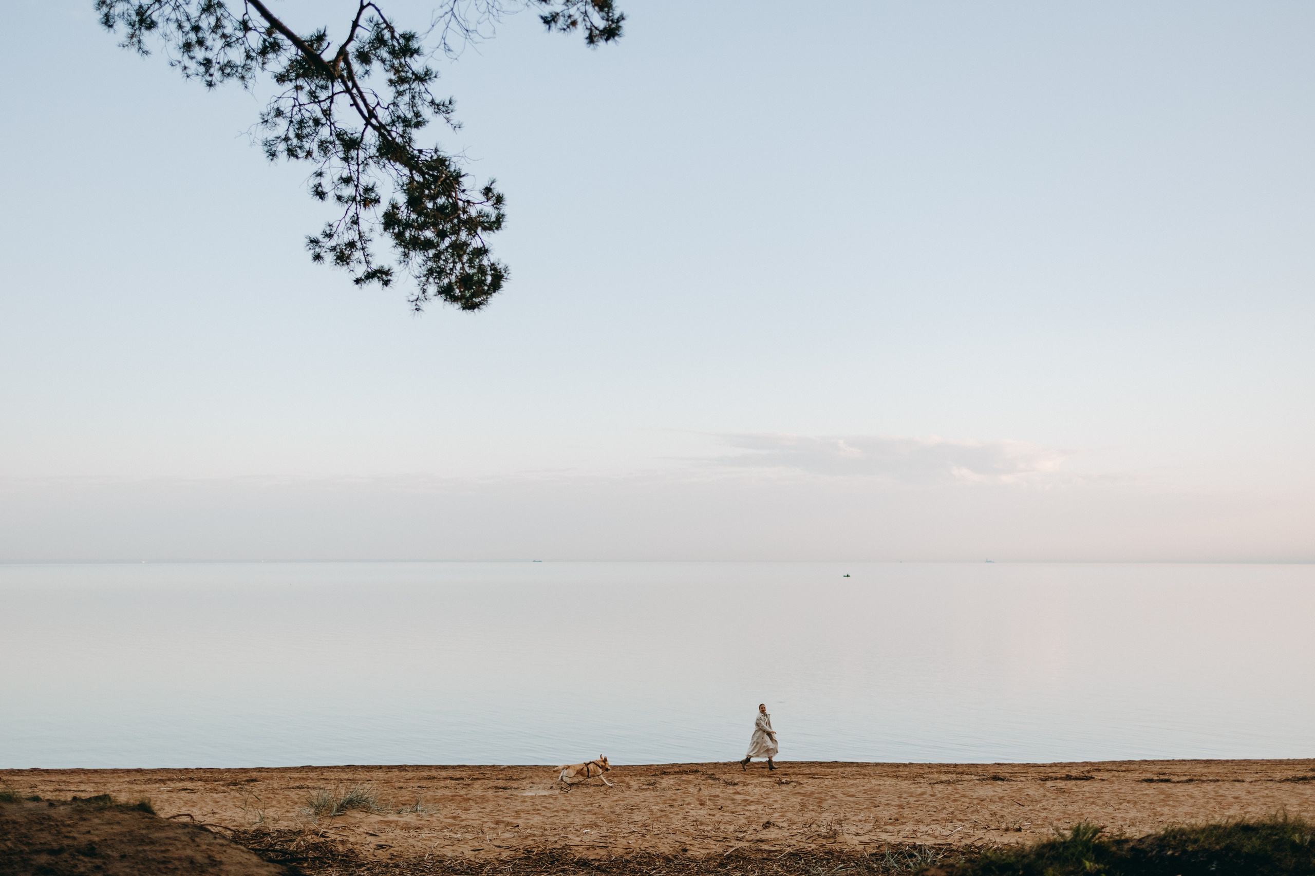 Наташа и Шани. Фотограф — Анималист | Санкт-Петербург