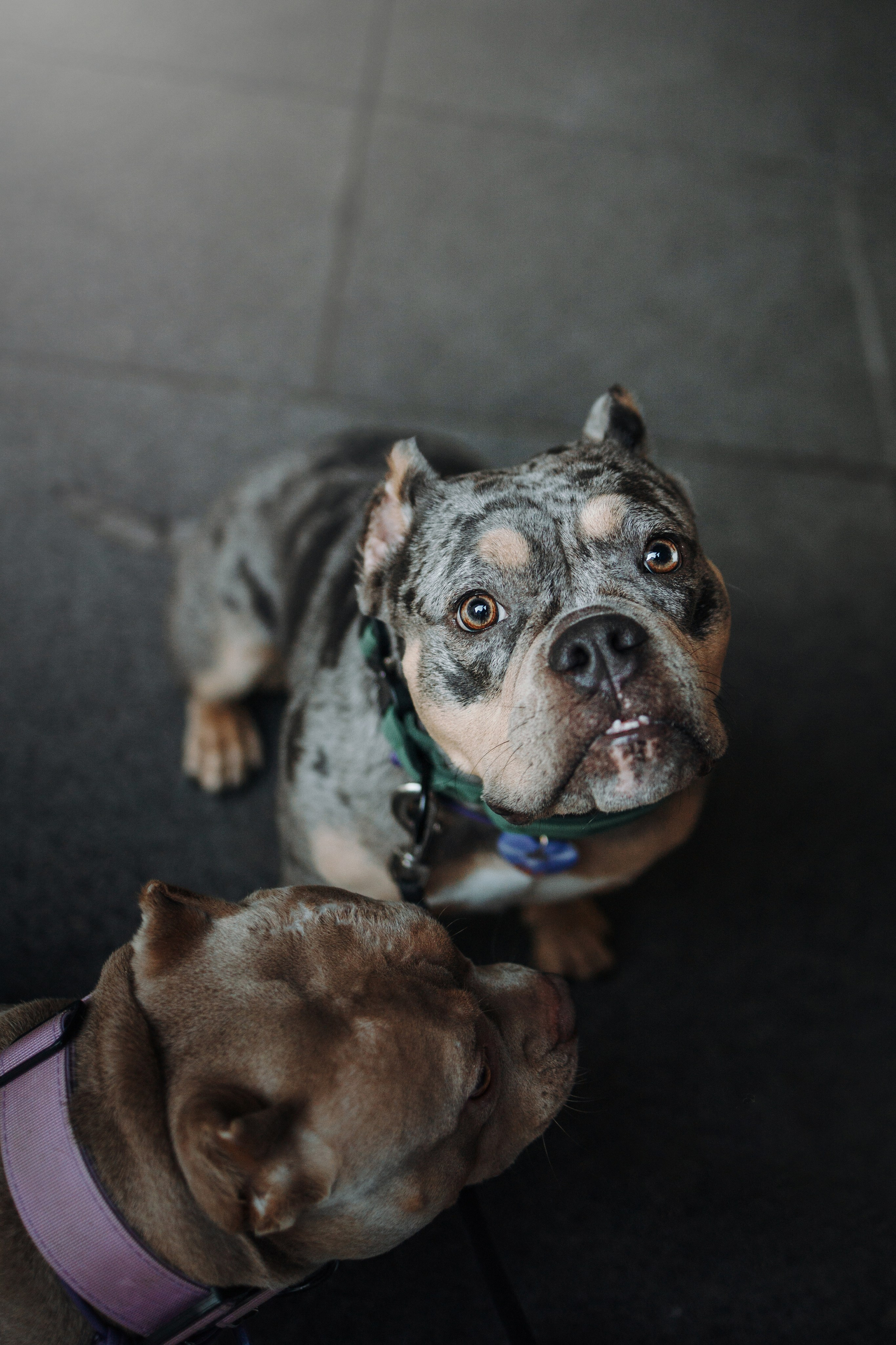 Лера и ее булочки. Фотограф — Анималист | Санкт-Петербург