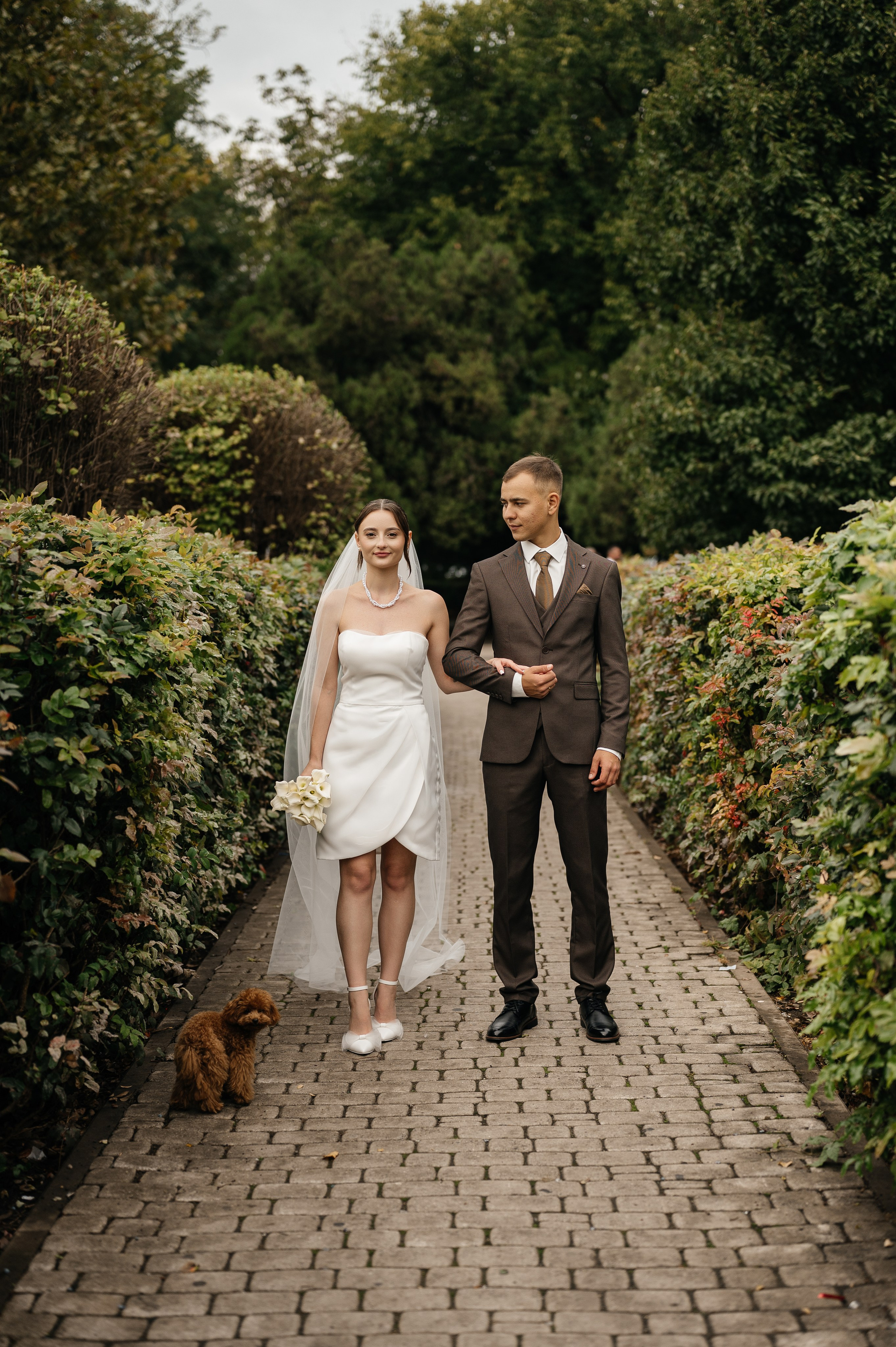 Константин и Виктория. Свадебный и семейный фотограф в Краснодаре Алина Мельник