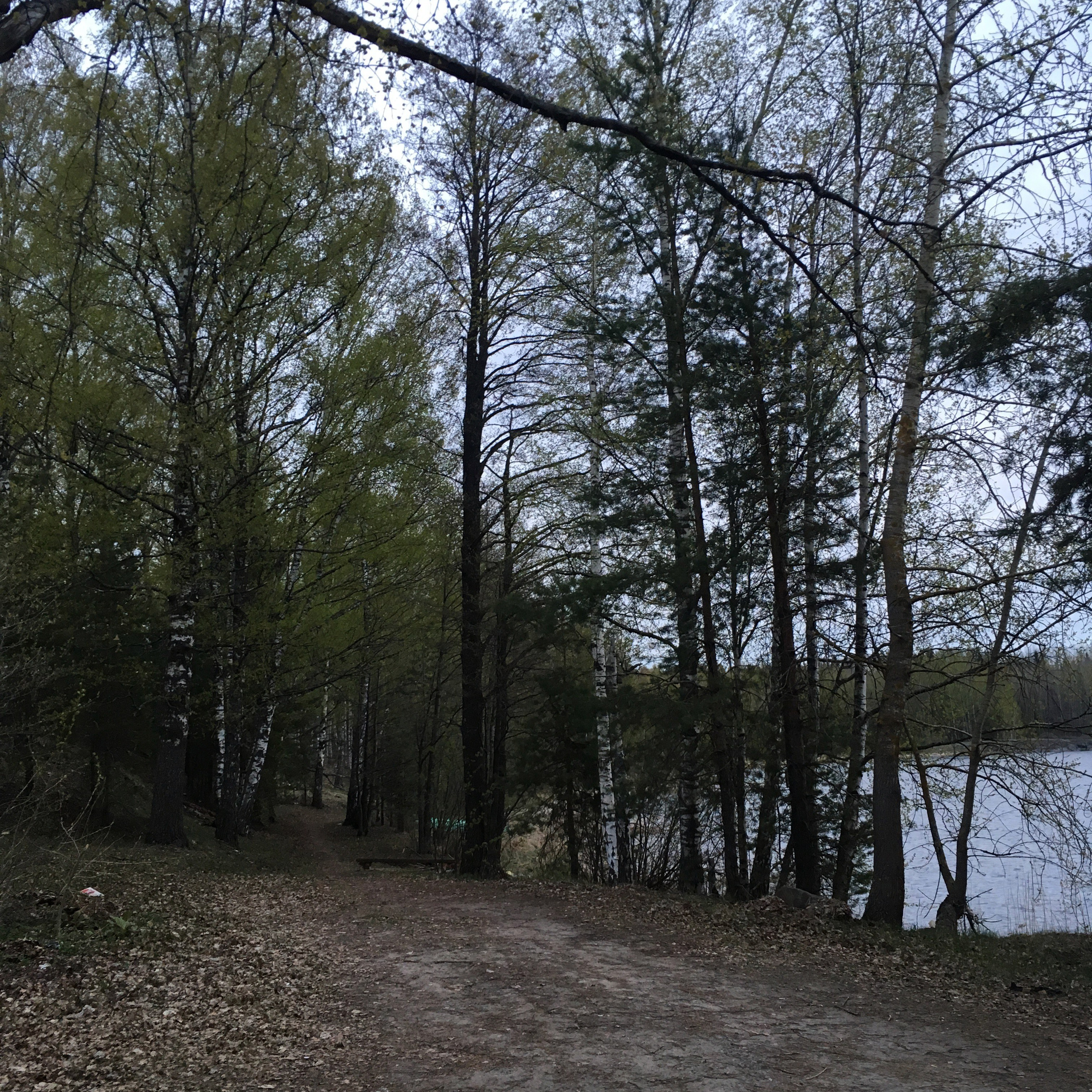 Финляндия — 19. Своя Мастерская