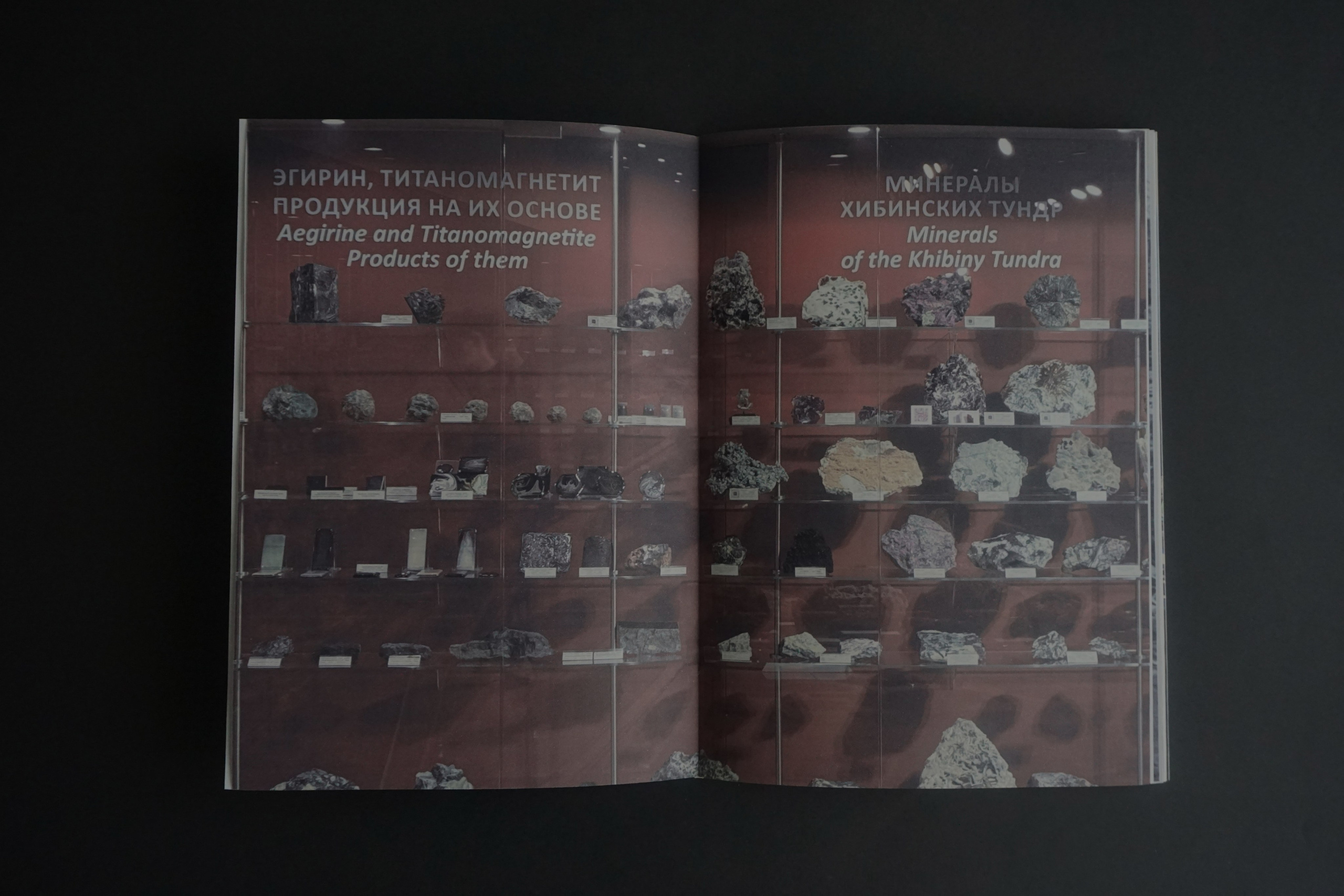 Overview. Anastasia Maryasova