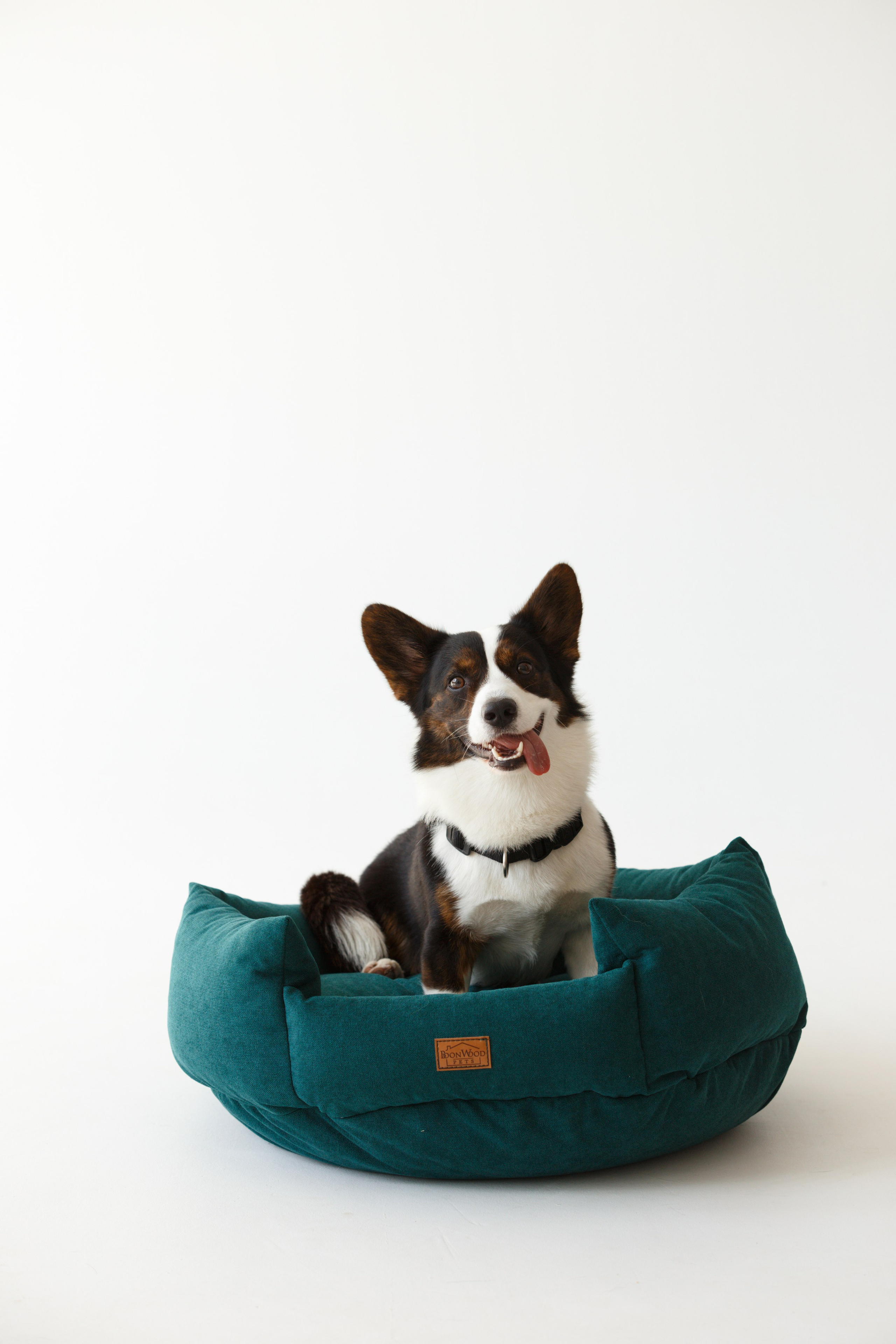 Boonwood Pets лежанки для животных. Фотограф анималист Кристина Карпова, Москва