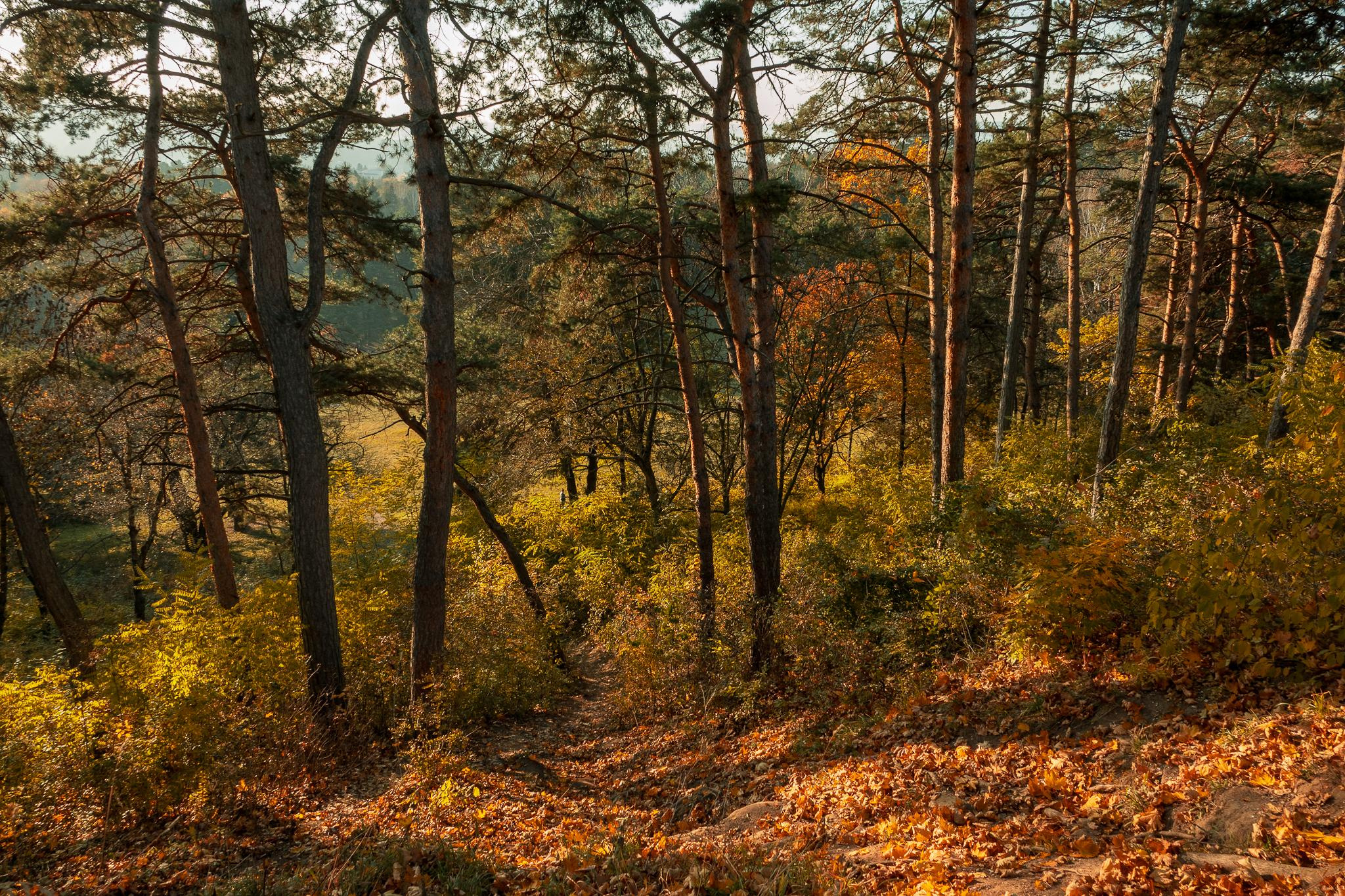 Общее портфолио. Фотограф в Москве Сергей Коршунов