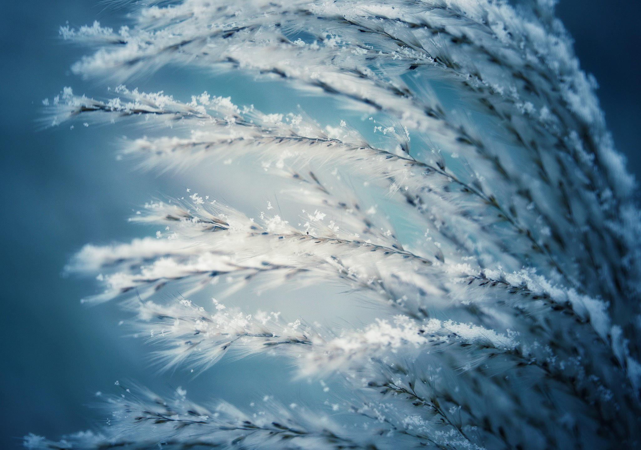 Общее портфолио. Фотограф в Москве Сергей Коршунов