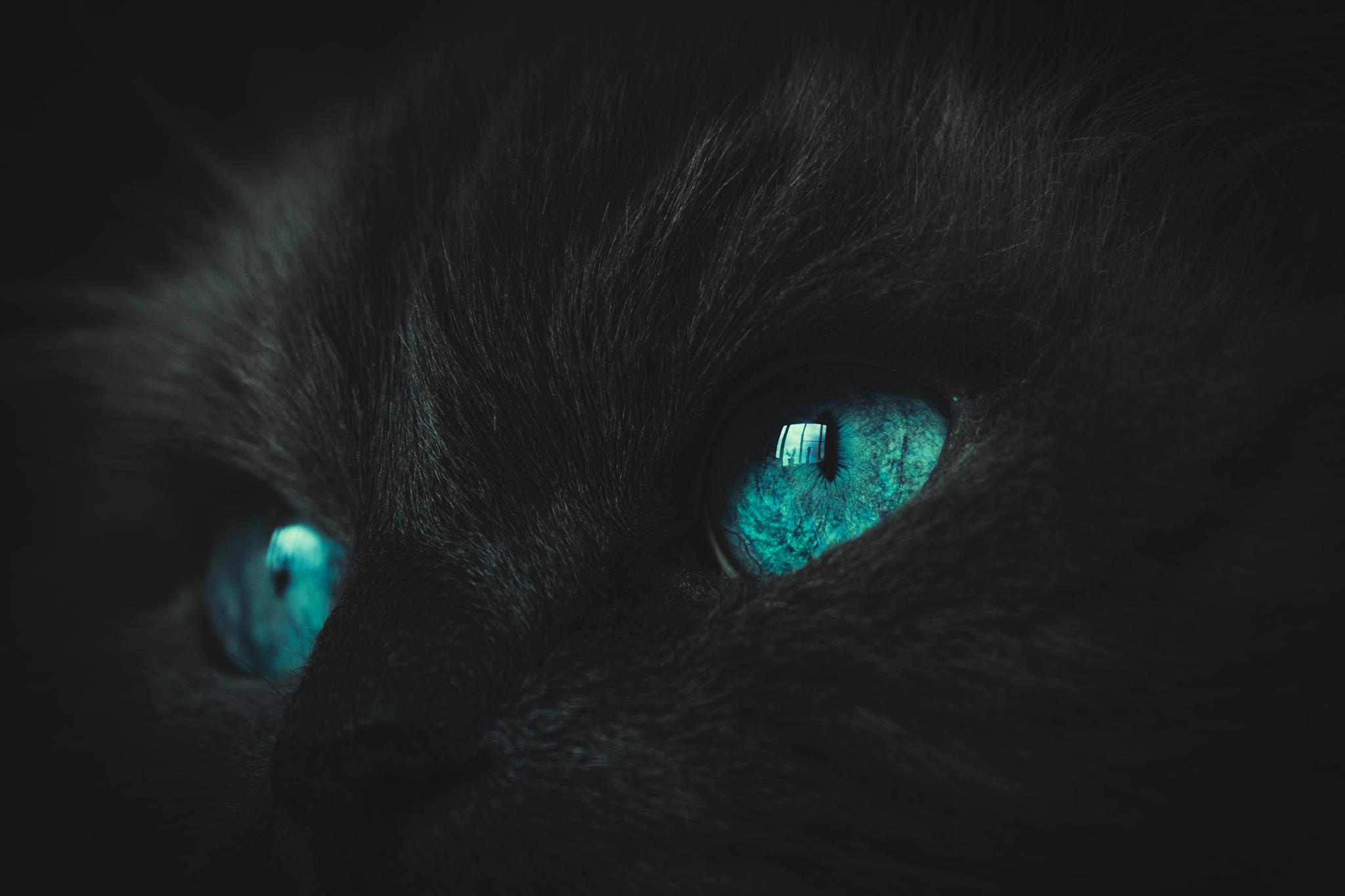 Общее портфолио. Фотограф в Москве Сергей Коршунов