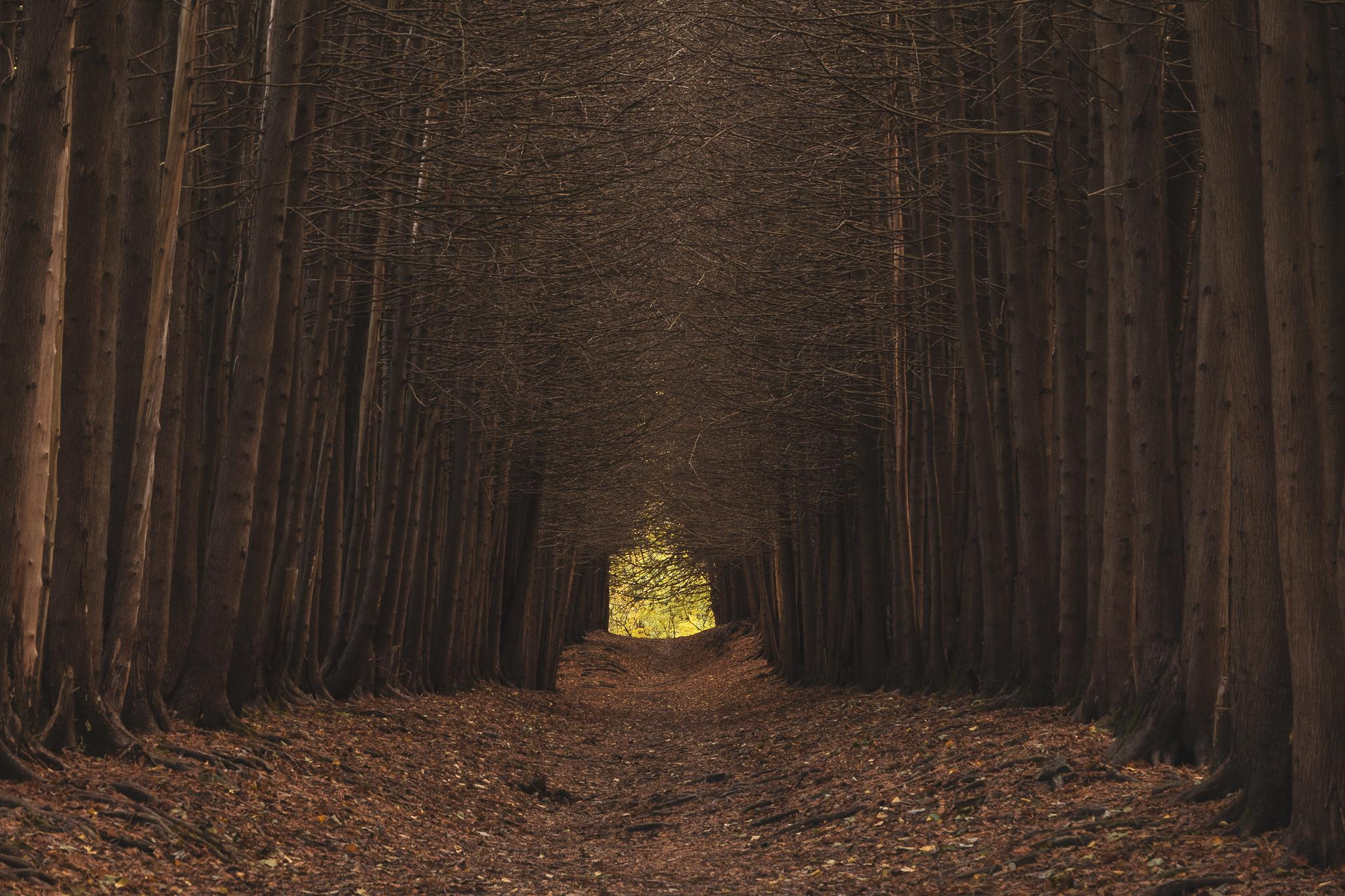 Общее портфолио. Фотограф в Москве Сергей Коршунов