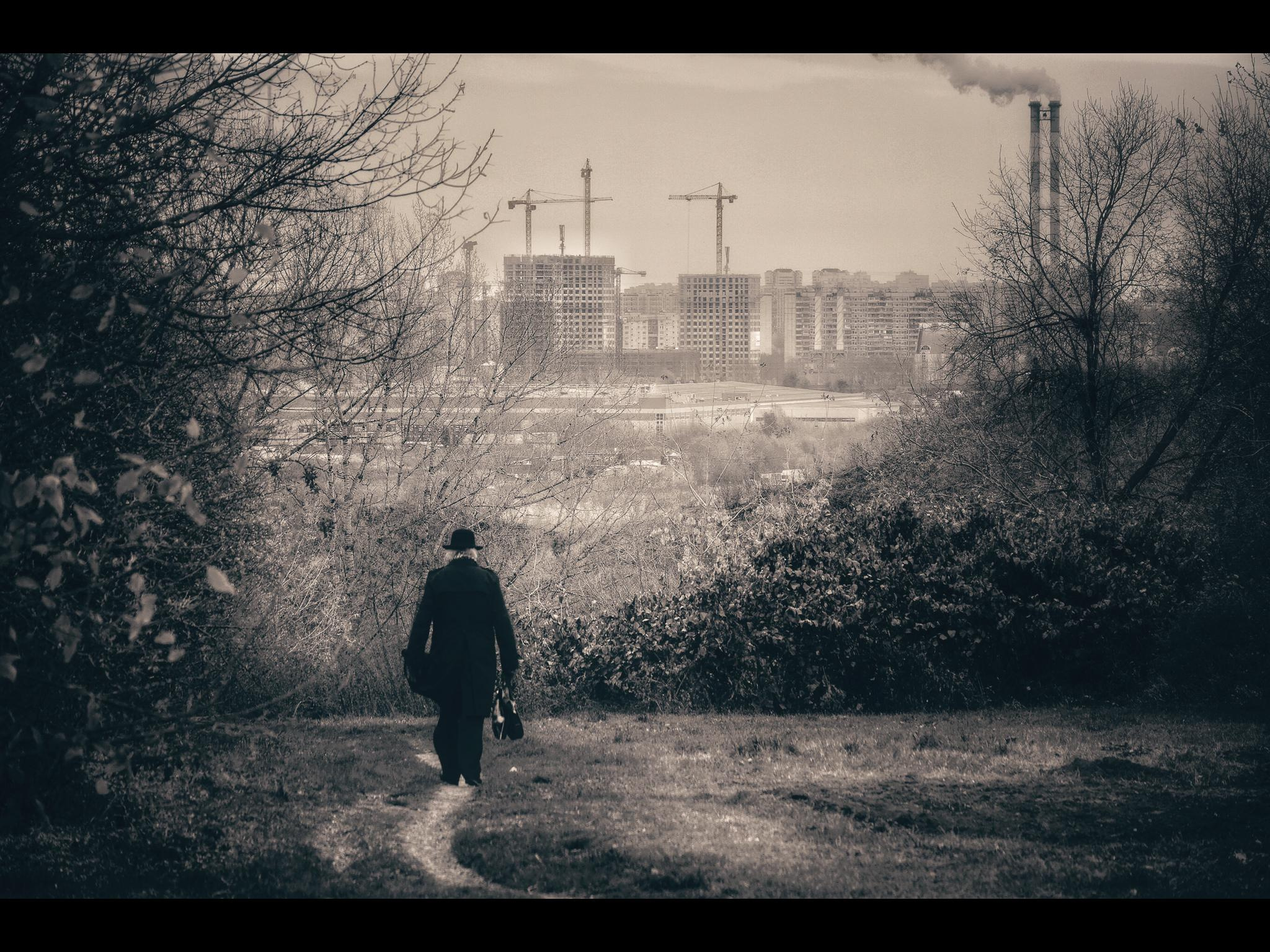 Общее портфолио. Фотограф в Москве Сергей Коршунов