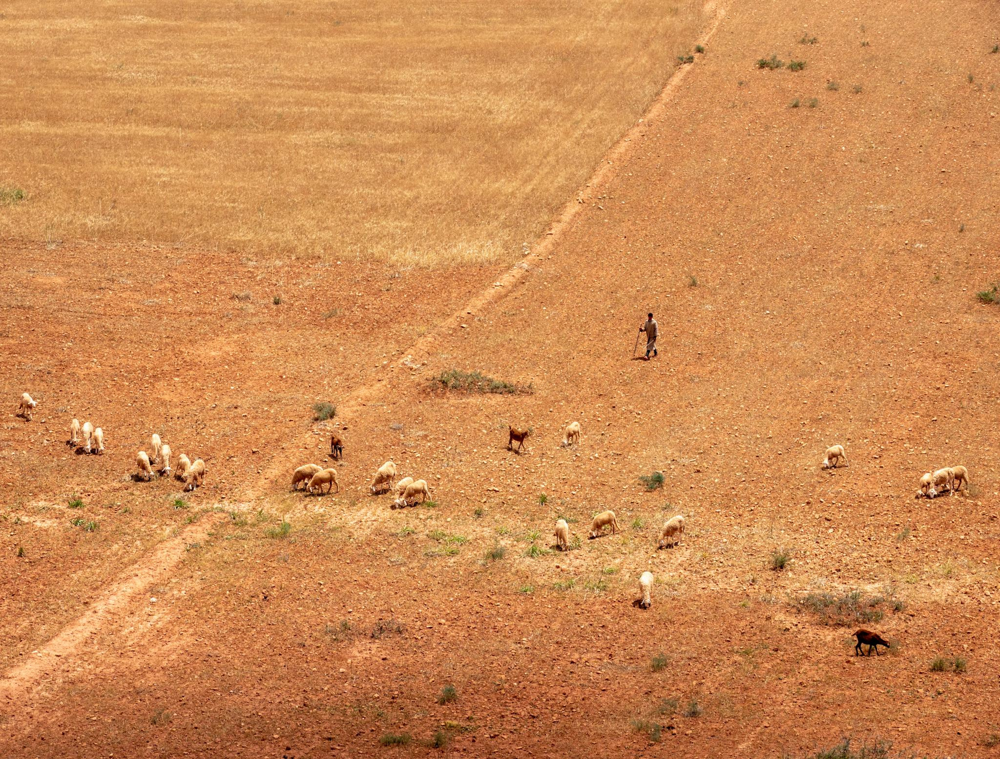 Общее портфолио. Фотограф в Москве Сергей Коршунов