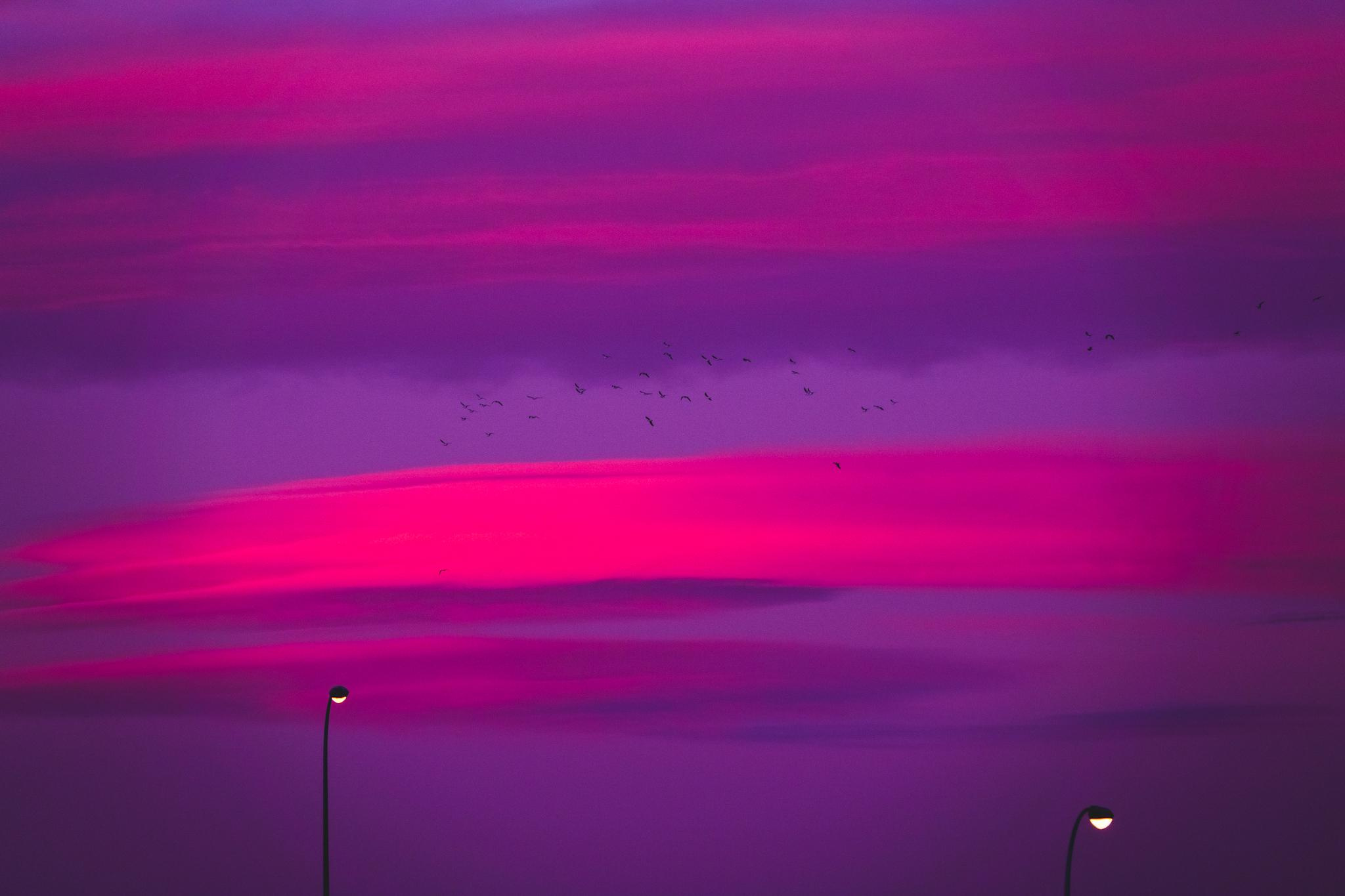 Общее портфолио. Фотограф в Москве Сергей Коршунов