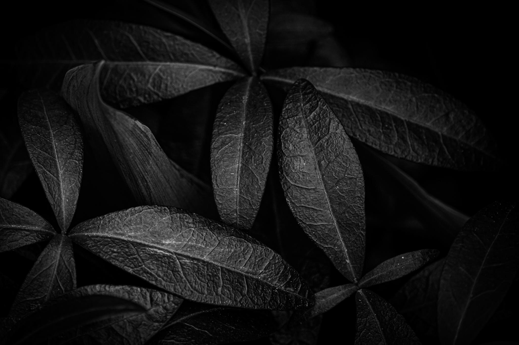 Общее портфолио. Фотограф в Москве Сергей Коршунов