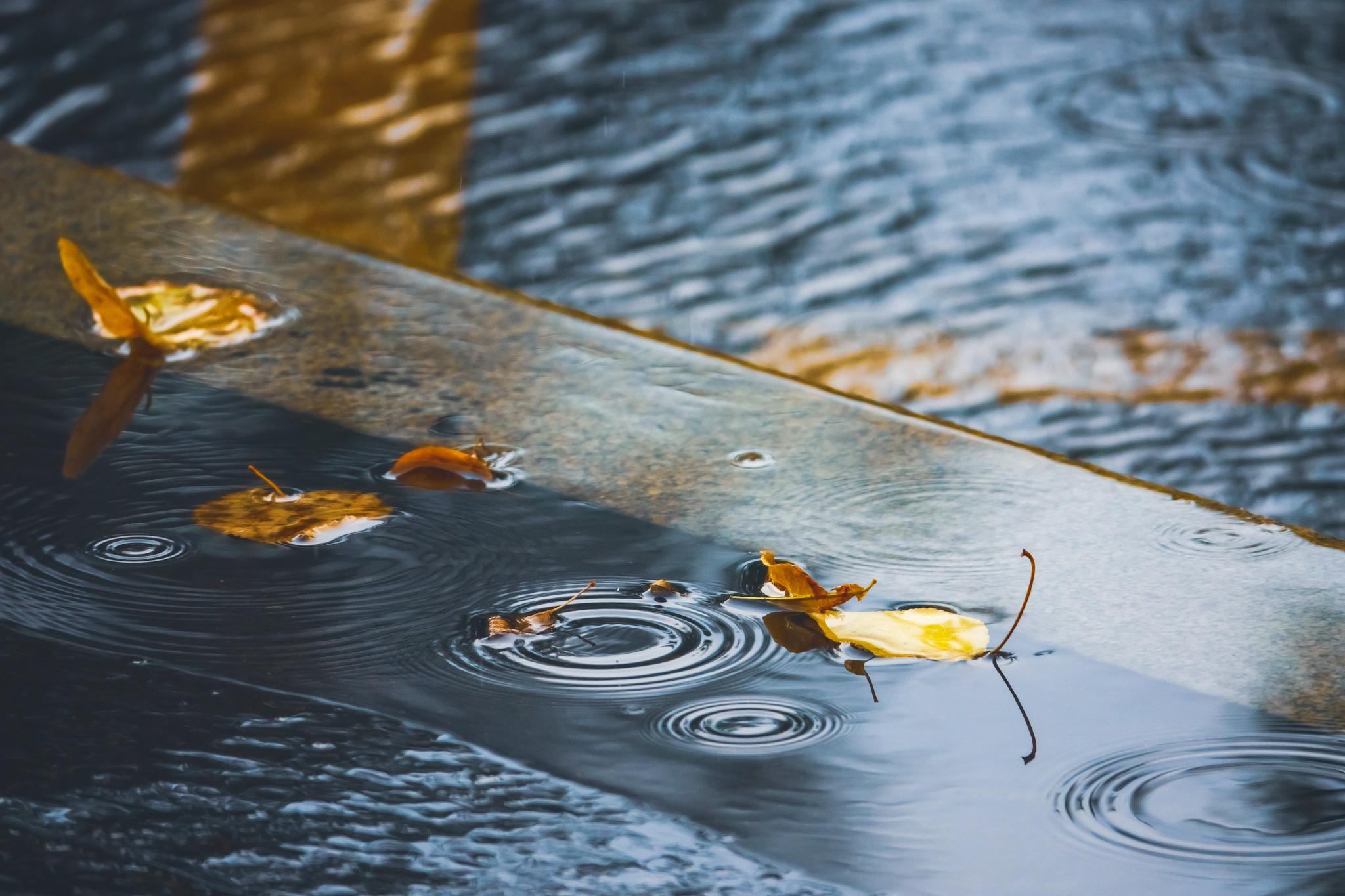 Общее портфолио. Фотограф в Москве Сергей Коршунов