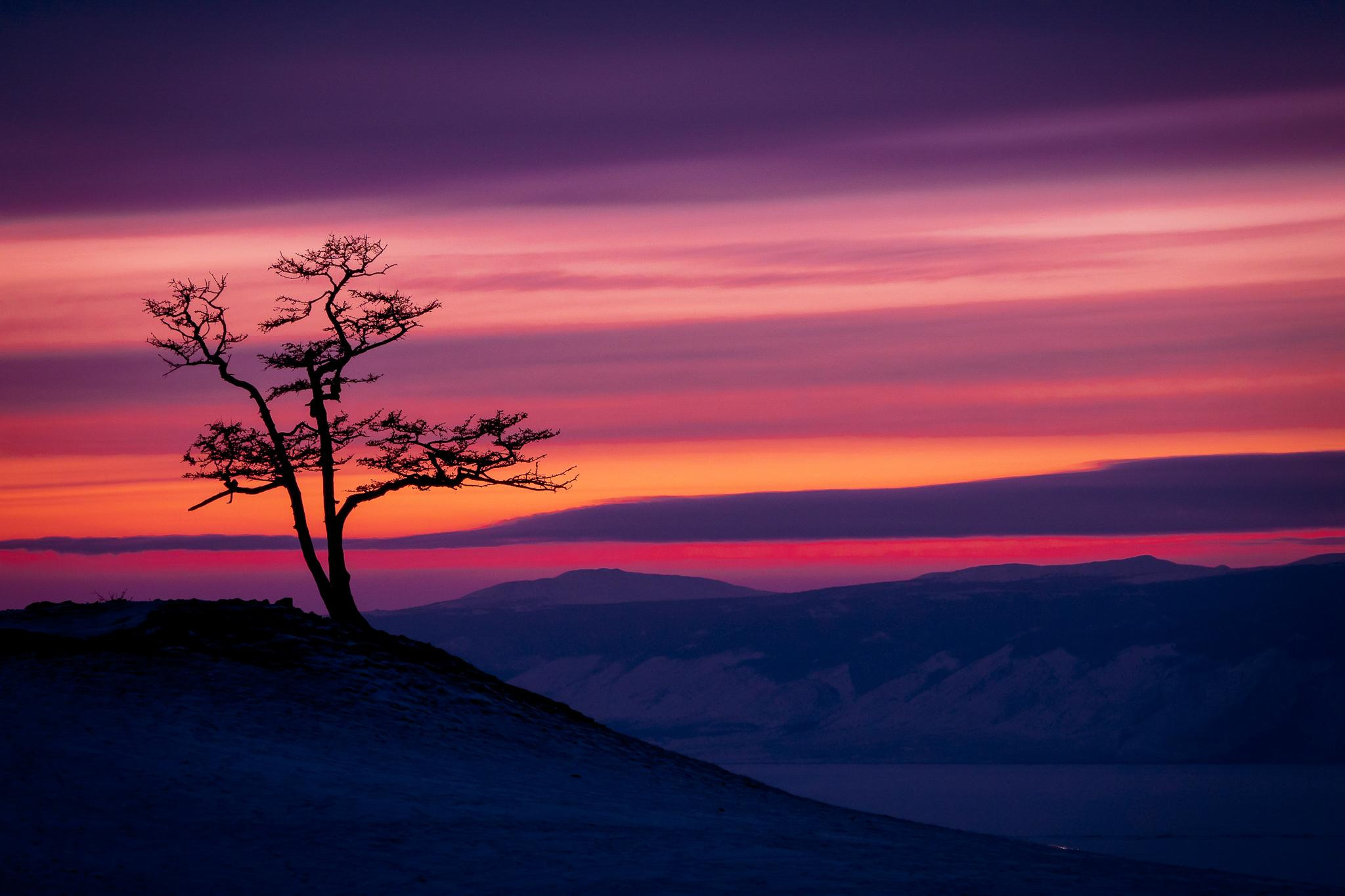 Общее портфолио. Фотограф в Москве Сергей Коршунов