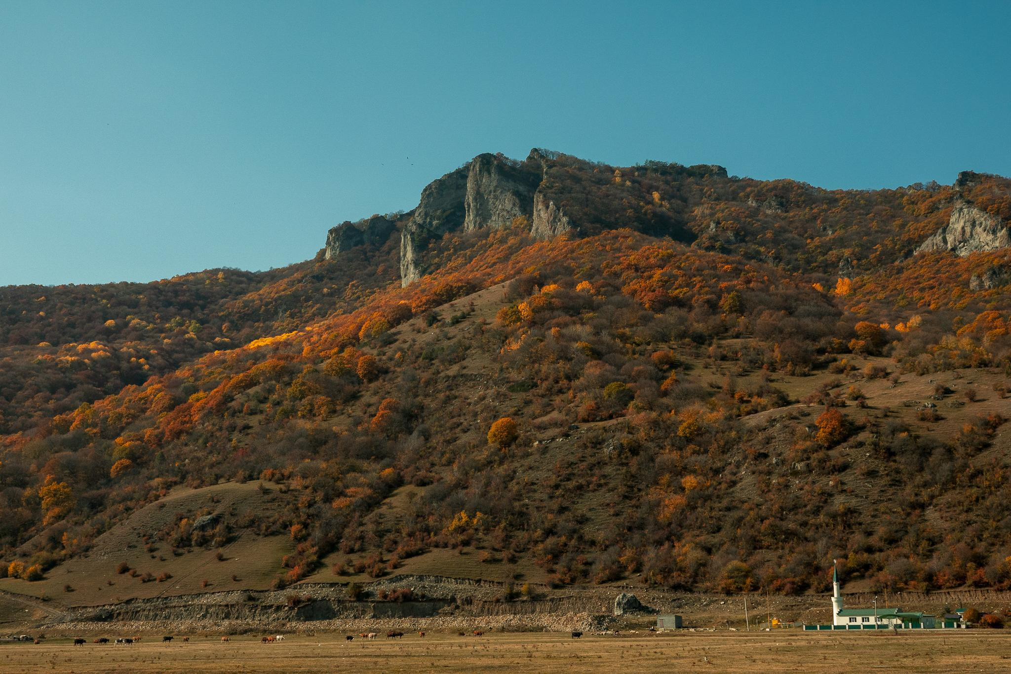 Общее портфолио. Фотограф в Москве Сергей Коршунов