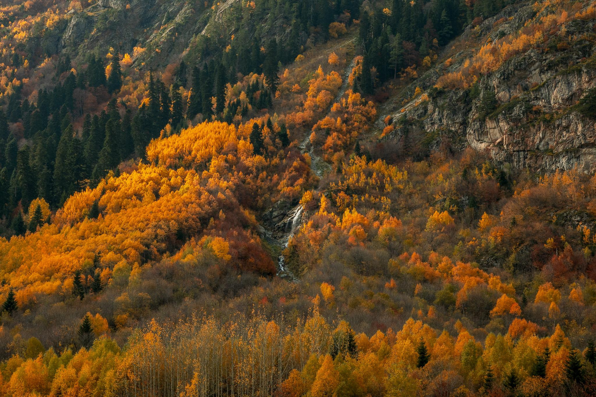 Общее портфолио. Фотограф в Москве Сергей Коршунов