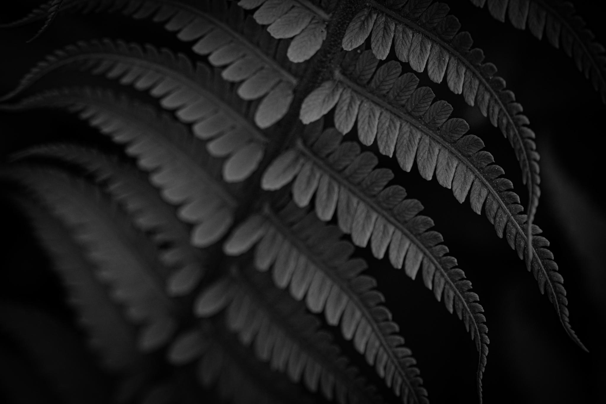 Общее портфолио. Фотограф в Москве Сергей Коршунов