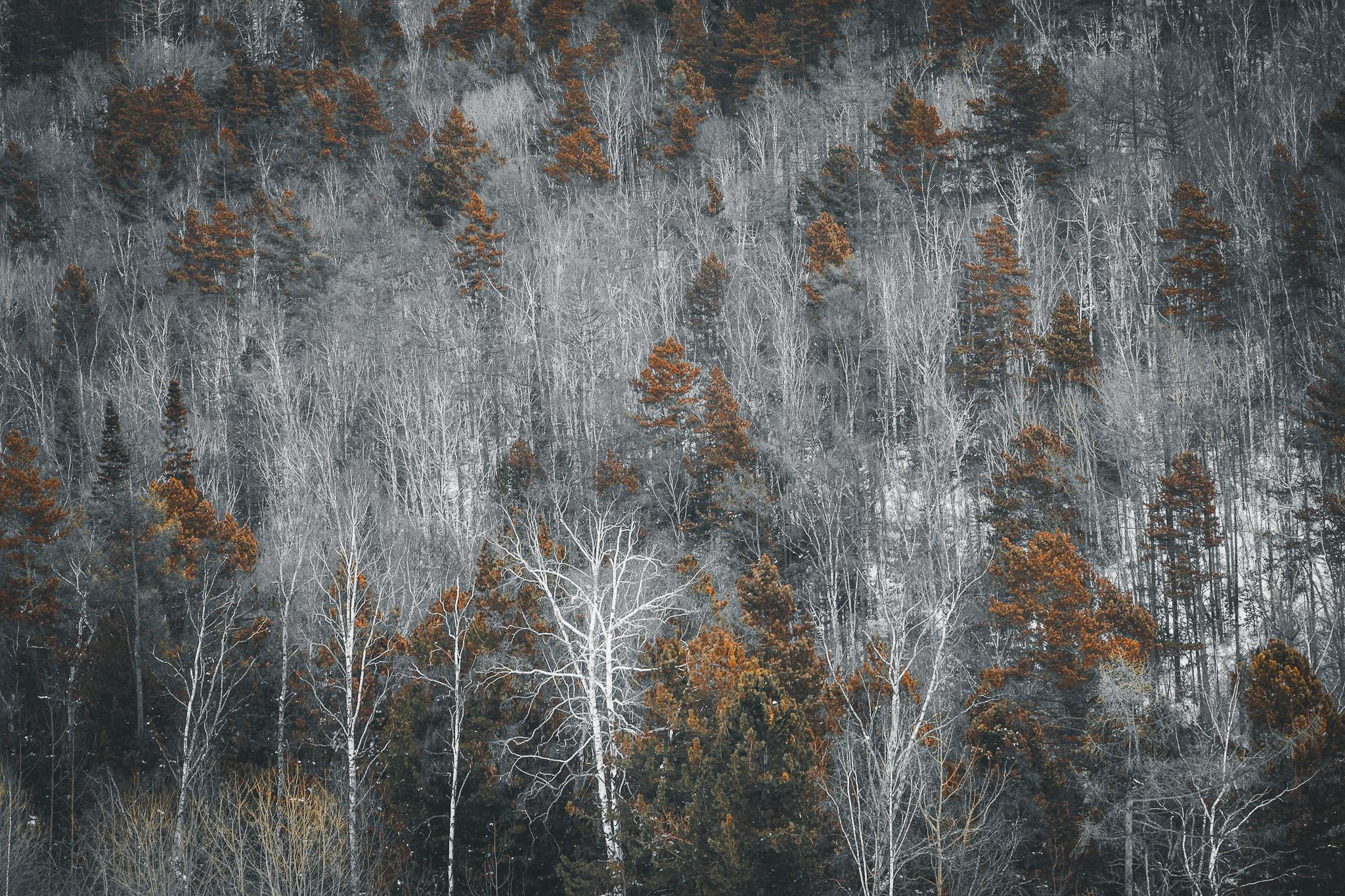 Общее портфолио. Фотограф в Москве Сергей Коршунов