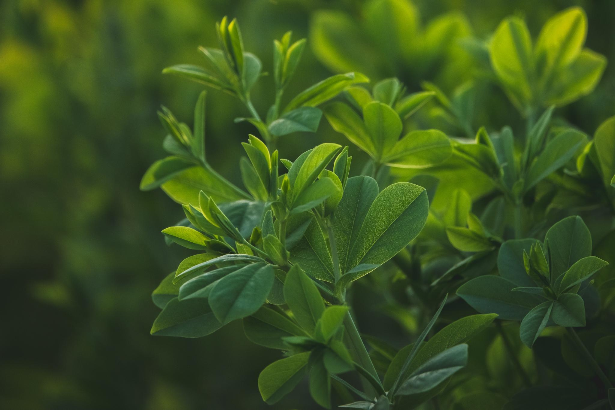 Общее портфолио. Фотограф в Москве Сергей Коршунов