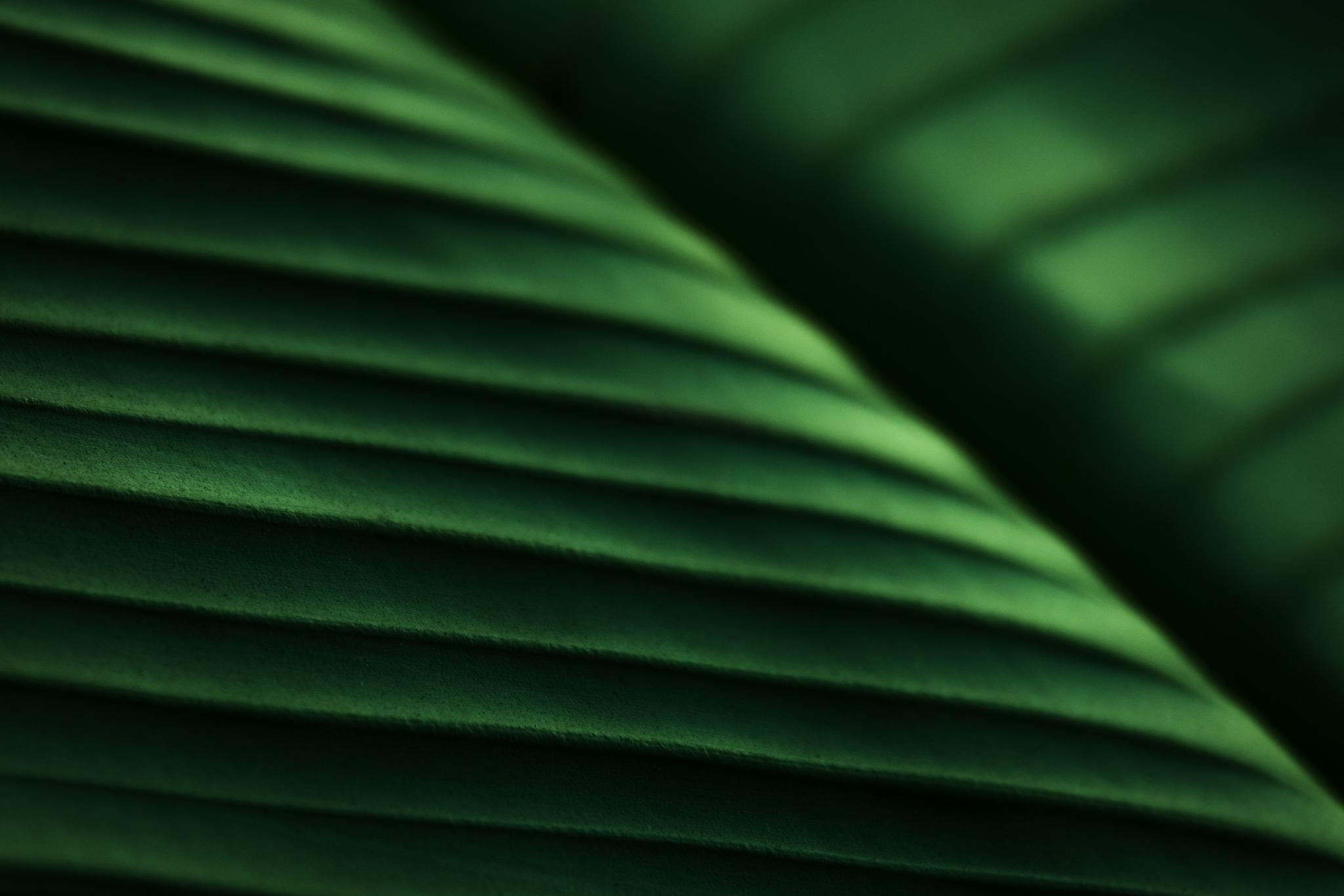 Общее портфолио. Фотограф в Москве Сергей Коршунов